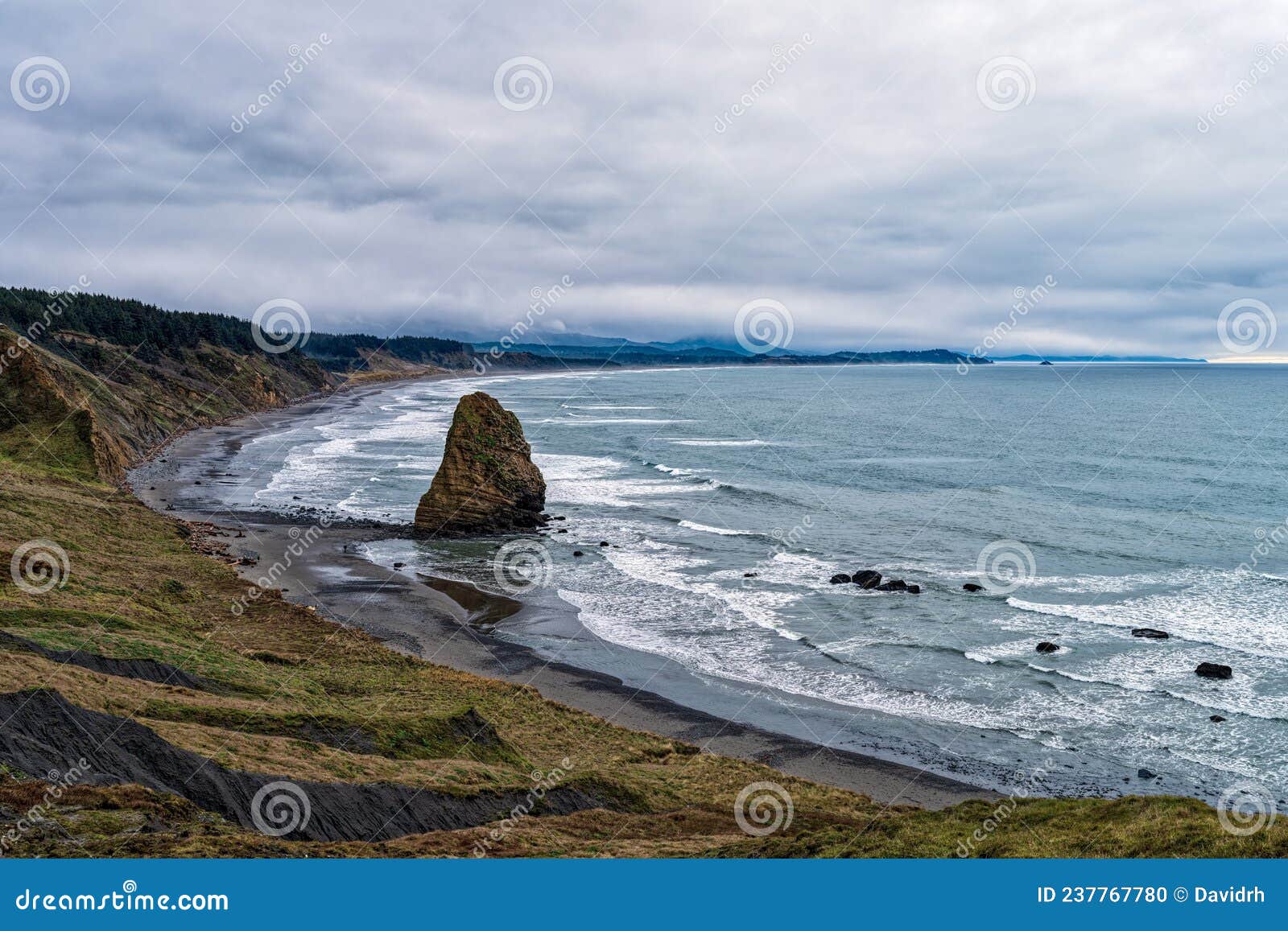 a sea stack dominates the beach on a foggy day at cape blanco state park, oregon, usa