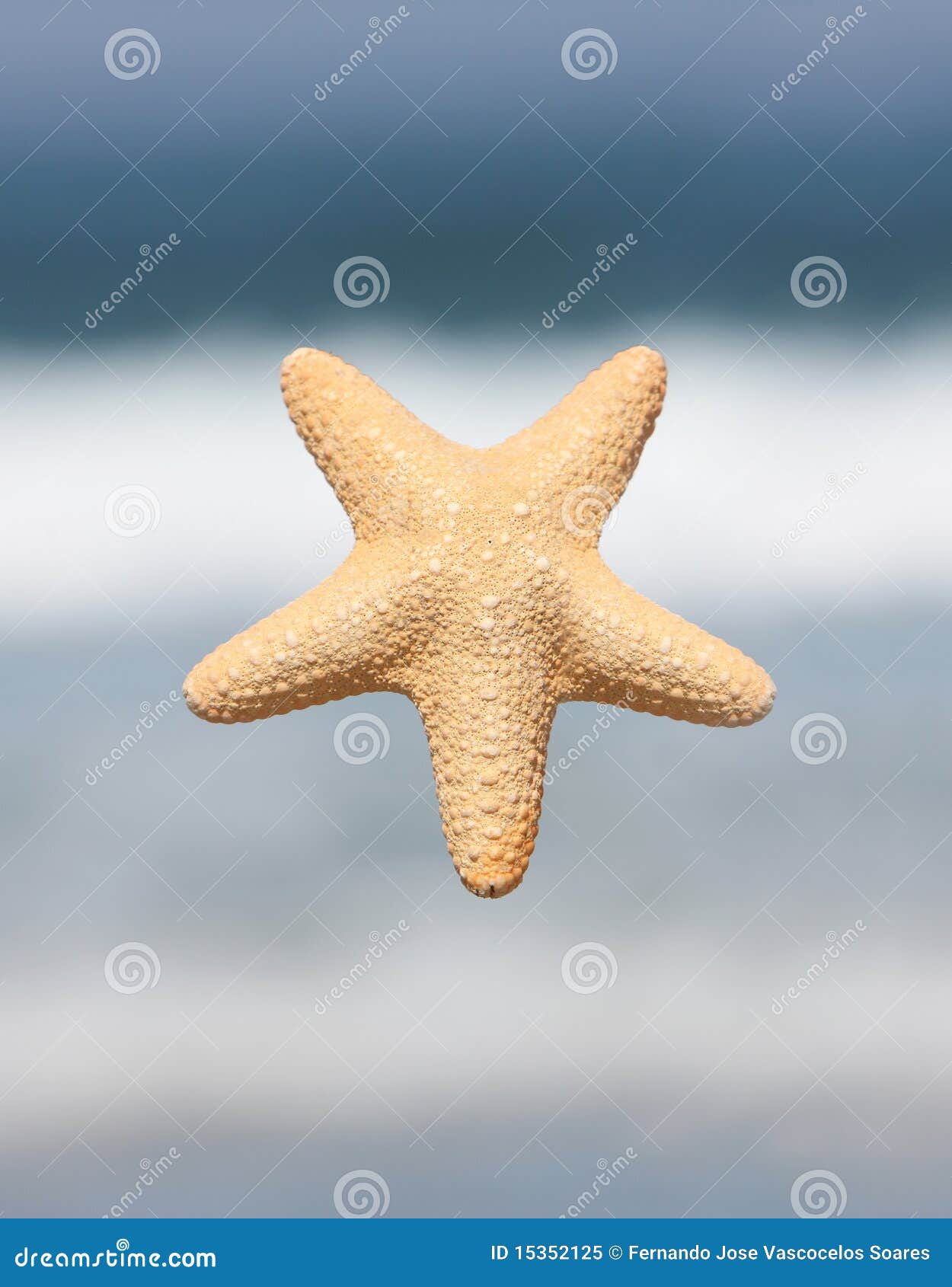 Sea star stock image. Image of blue, island, detail, background 15352125