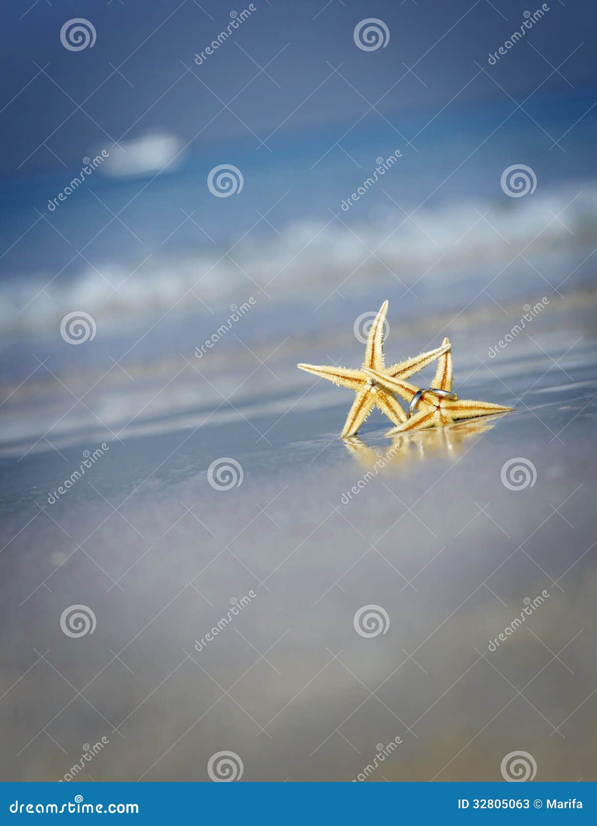 sea of stars beach location sea of stars beach location