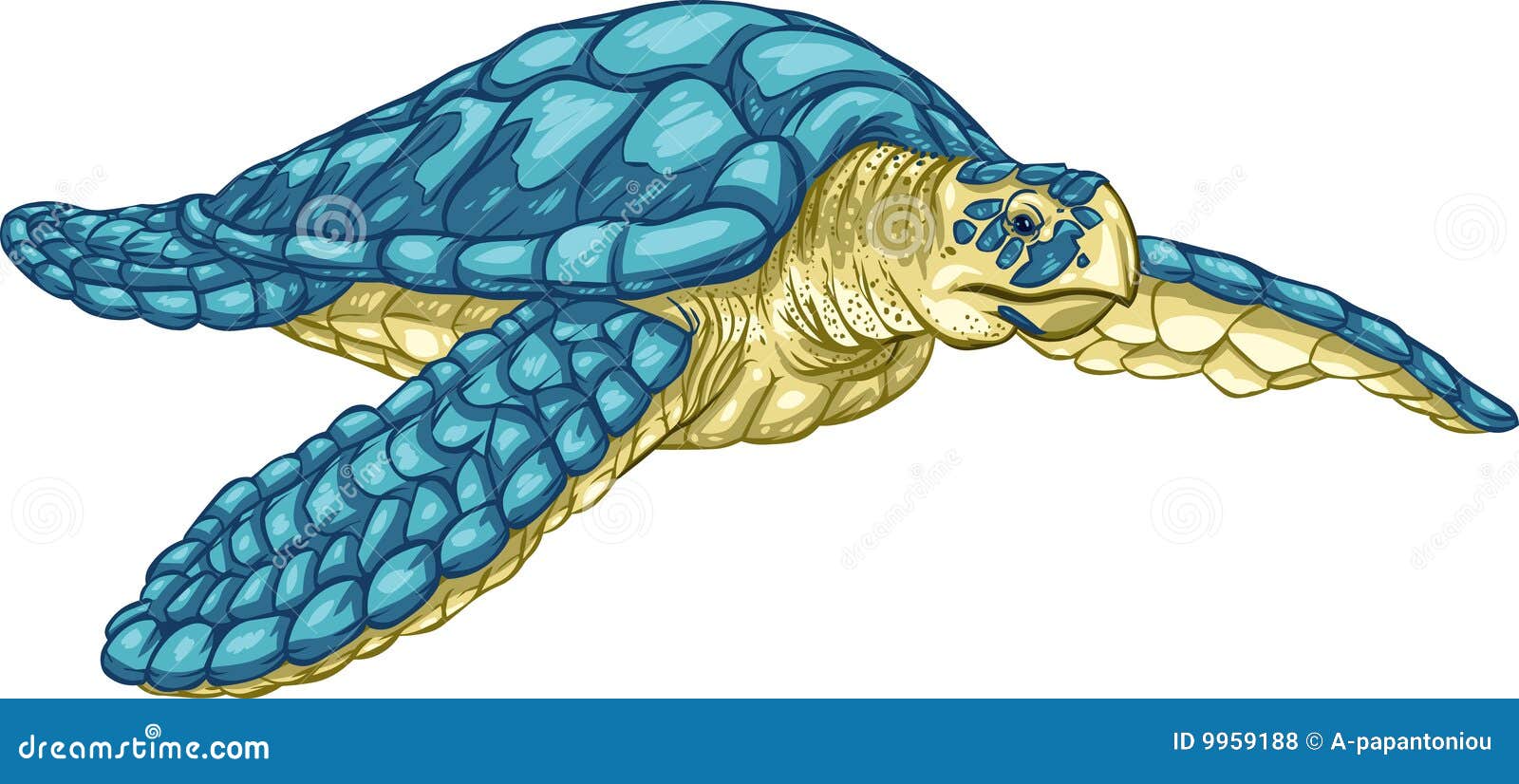 Featured image of post Loggerhead Turtle Cartoon Sei fortunato le hai trovate