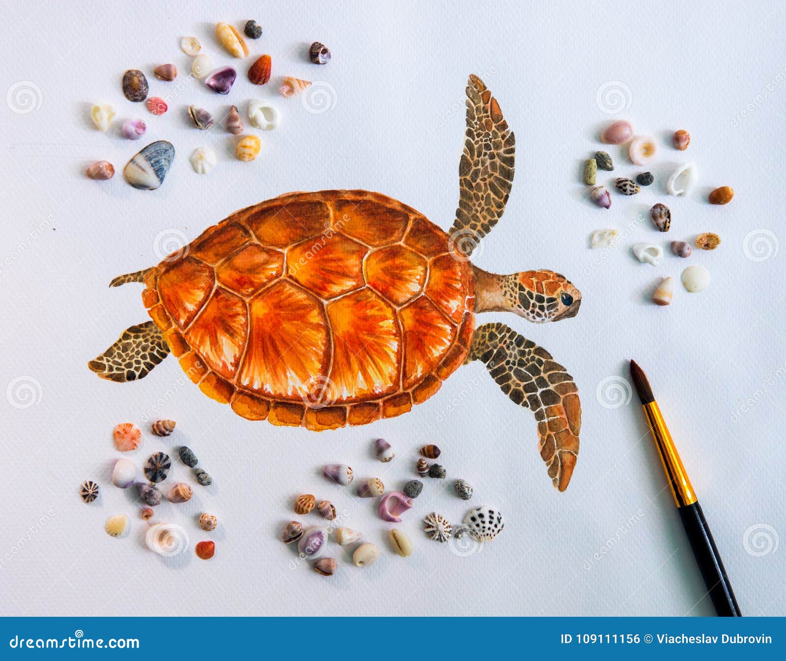 How to Draw a Turtle | Envato Tuts+