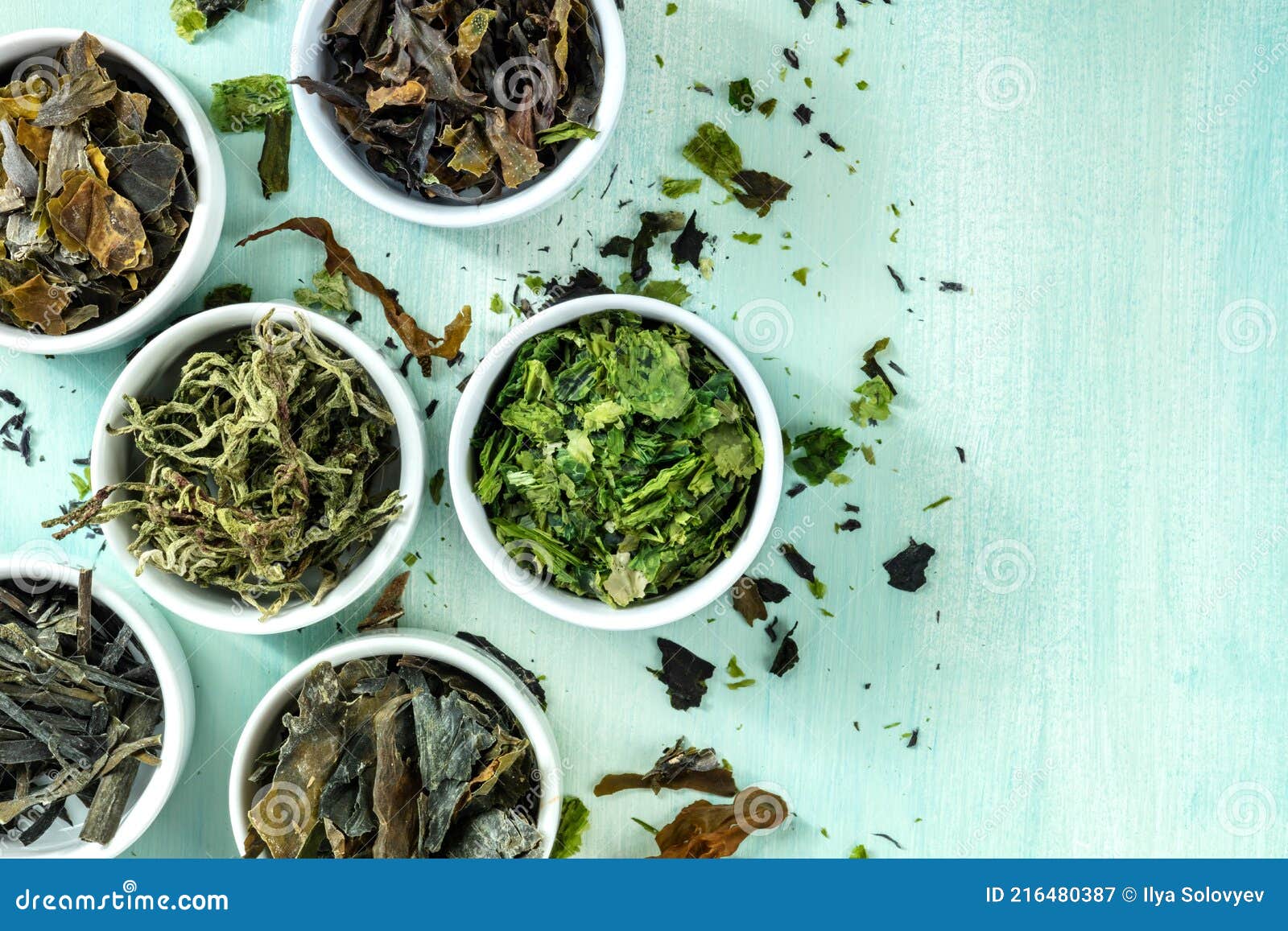 sea vegetables with copy space. various edible algae, shot from above