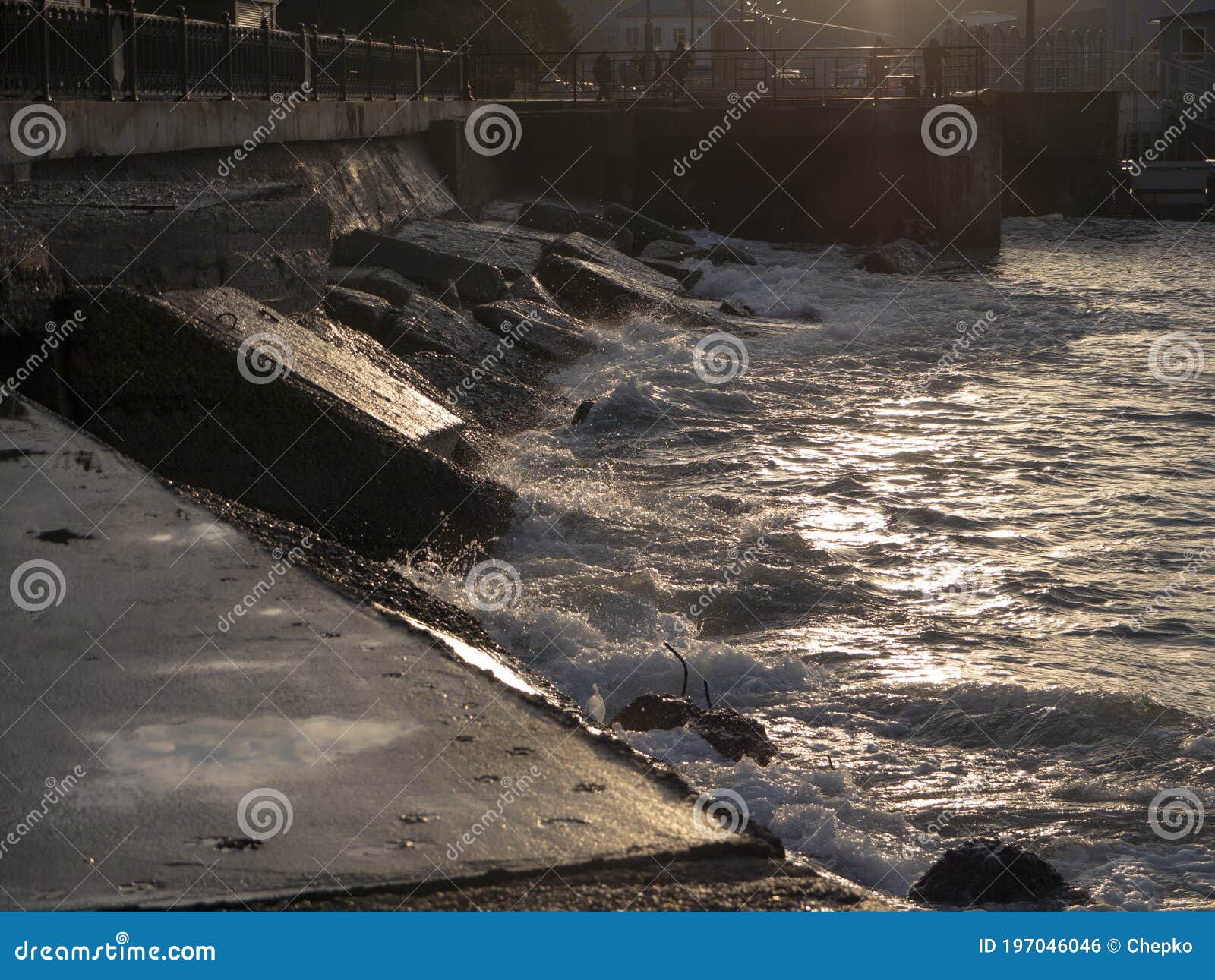 sea water wave swash during blue hour