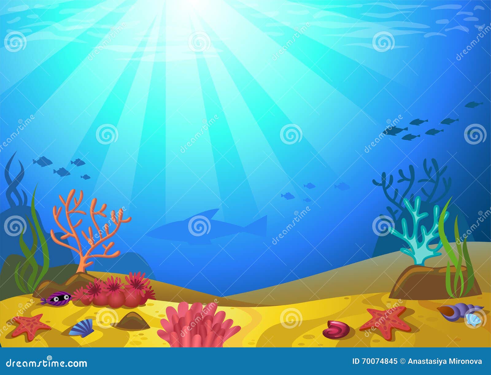 seabed with corals