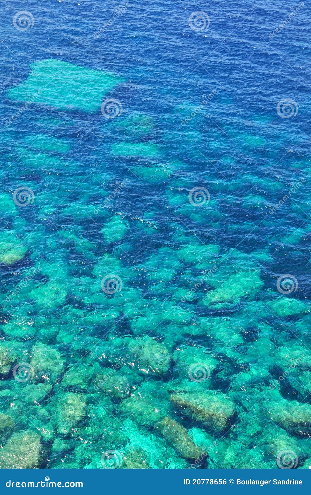 seabed in water trasparente