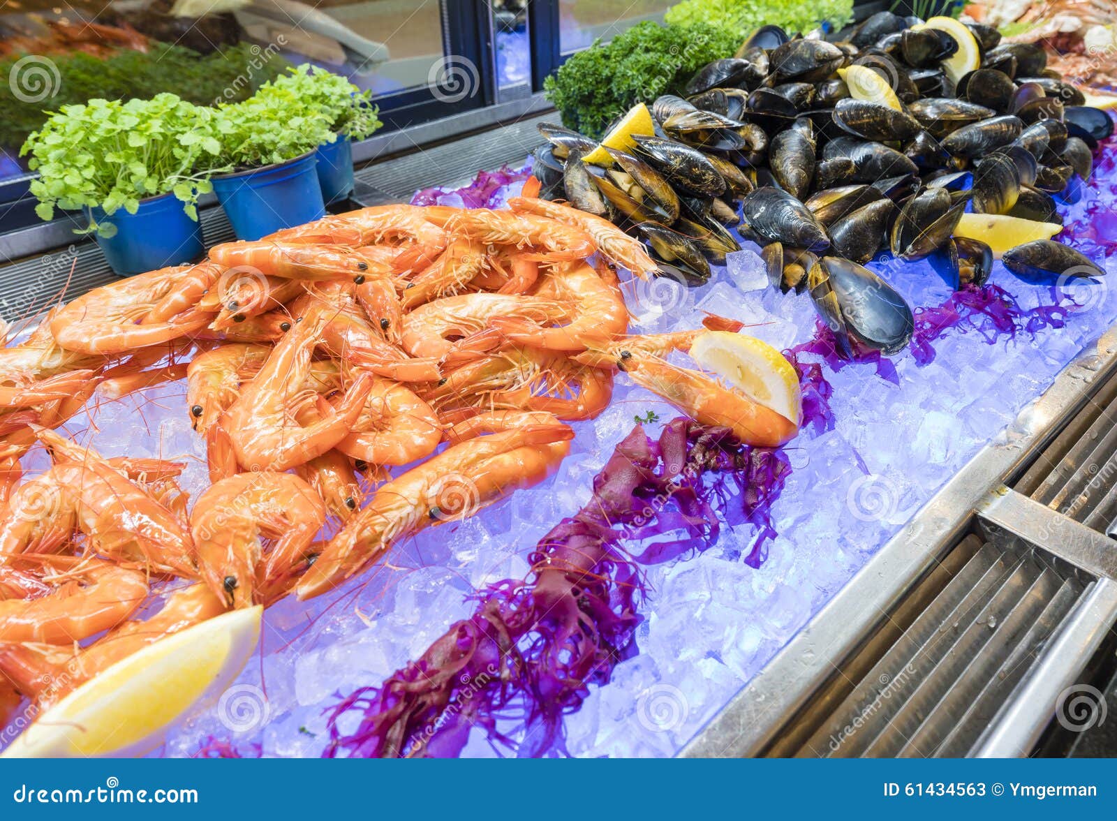 Seafood bar in buffet stock image. Image of hotel, meal 61434563