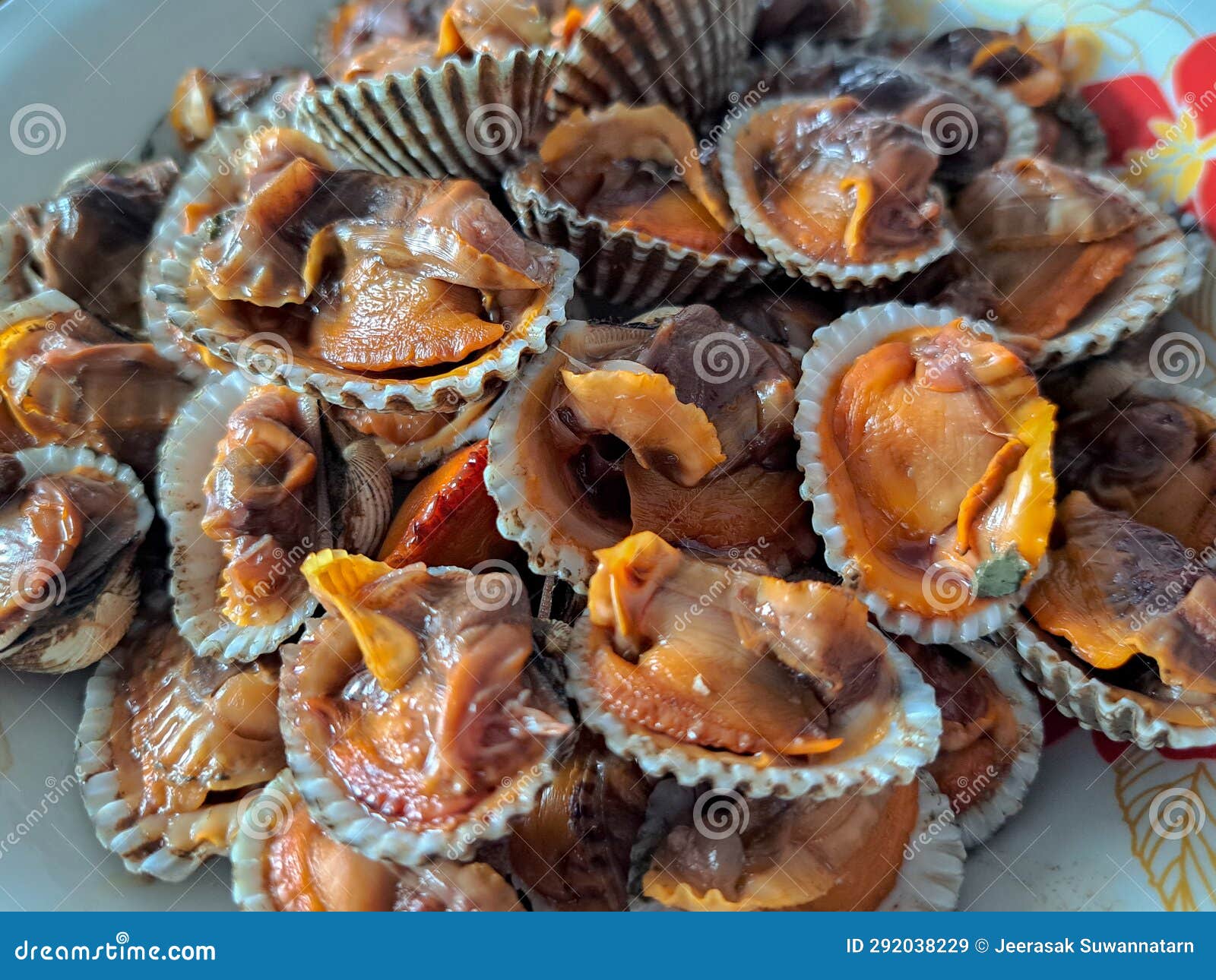 Seafood, Boiled Scallops that are Peeled and Stacked Together Stock