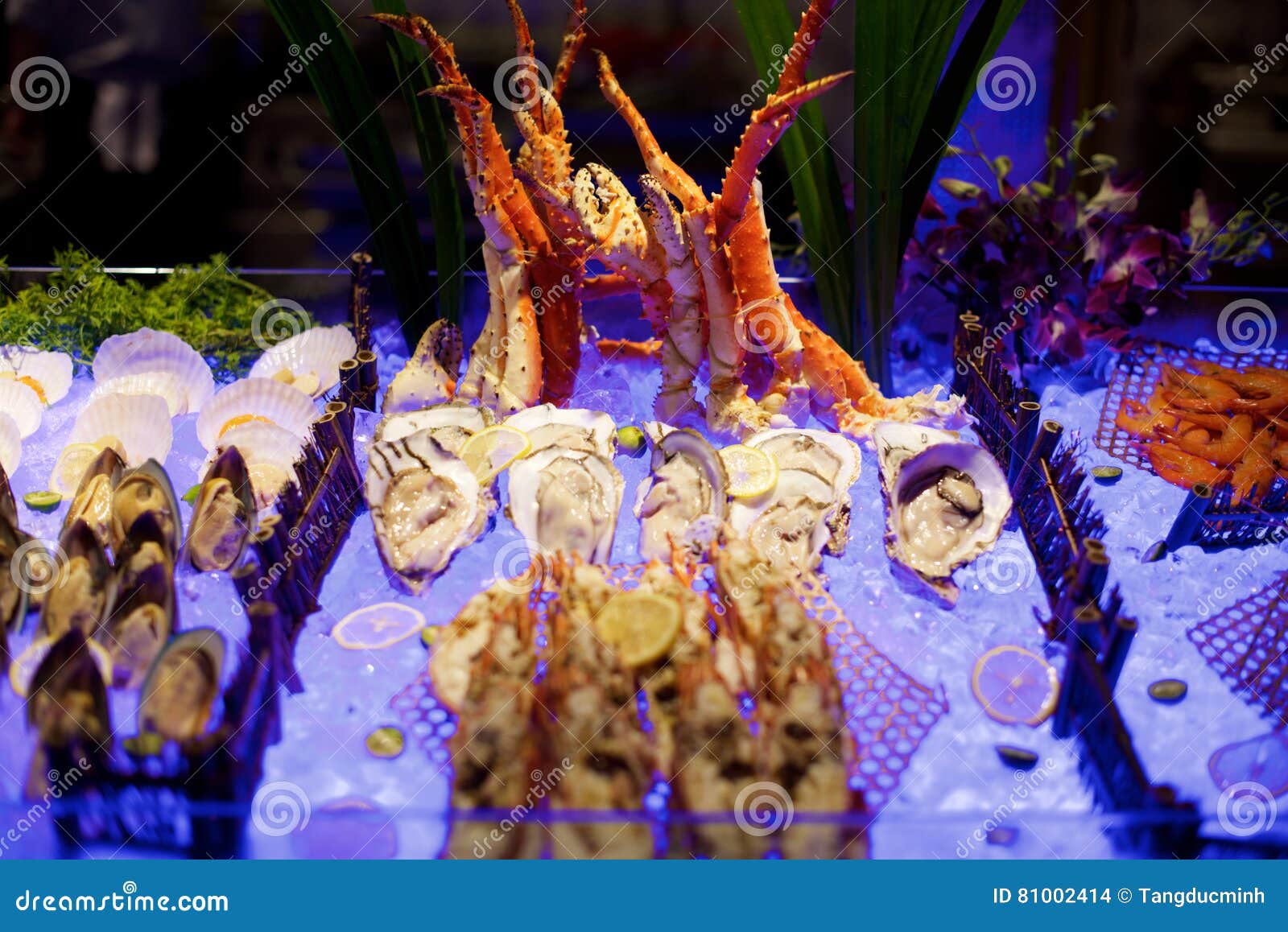 Seafood buffet stock photo. Image of shrimp, dish, food 81002414