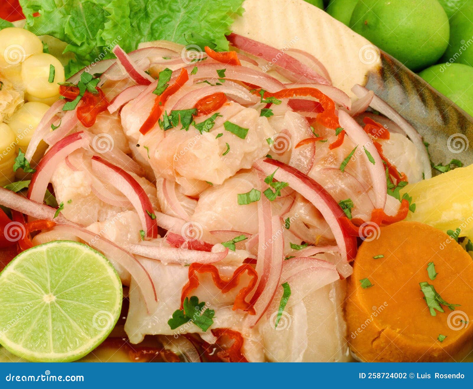 Seafood Ceviche, Typical Dish from Peru Stock Photo Image of close