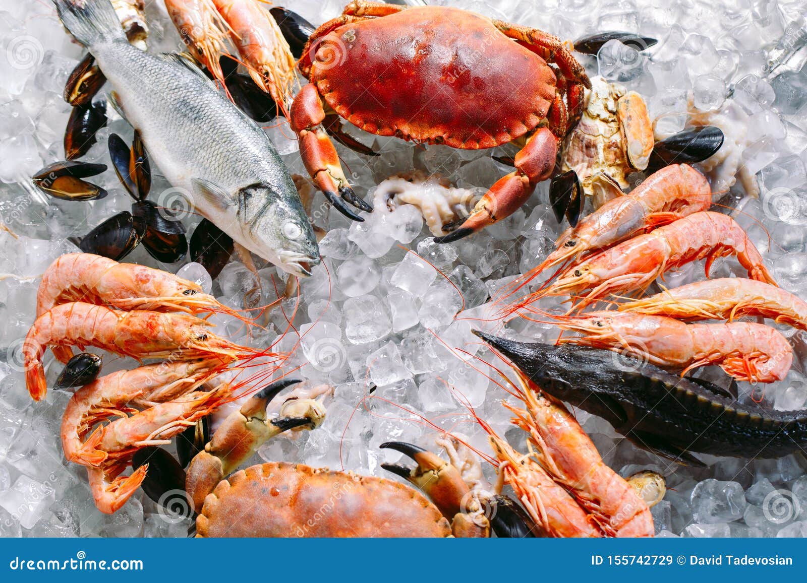 seafood on ice. crabs, sturgeon, shellfish, shrimp, rapana, dorado, on white ice.