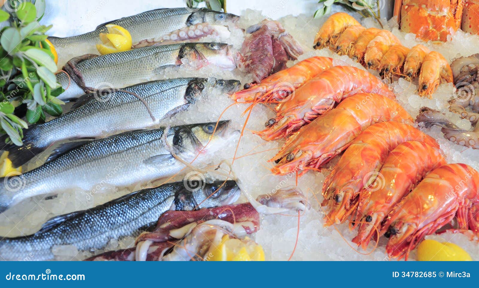 Seafood stock image Image of fish diet shellfish Seafood stock image Image of fish diet shellfish