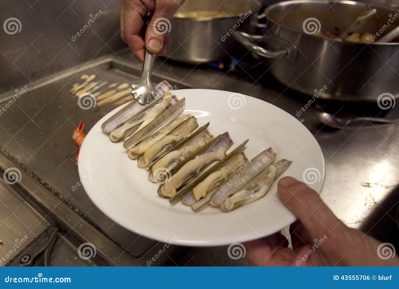 Seafood knives stock photo. Image of marine, cooking - 43555706