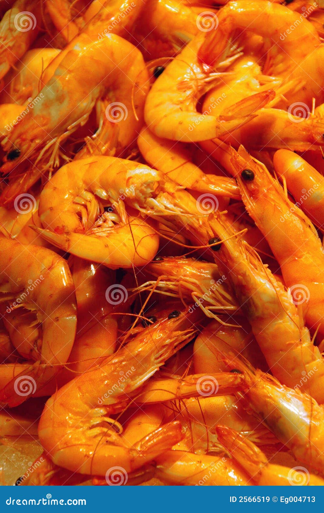 Seafood Market/Fresh Seafood On Ice. Shrimp, Crayfish, Clams And