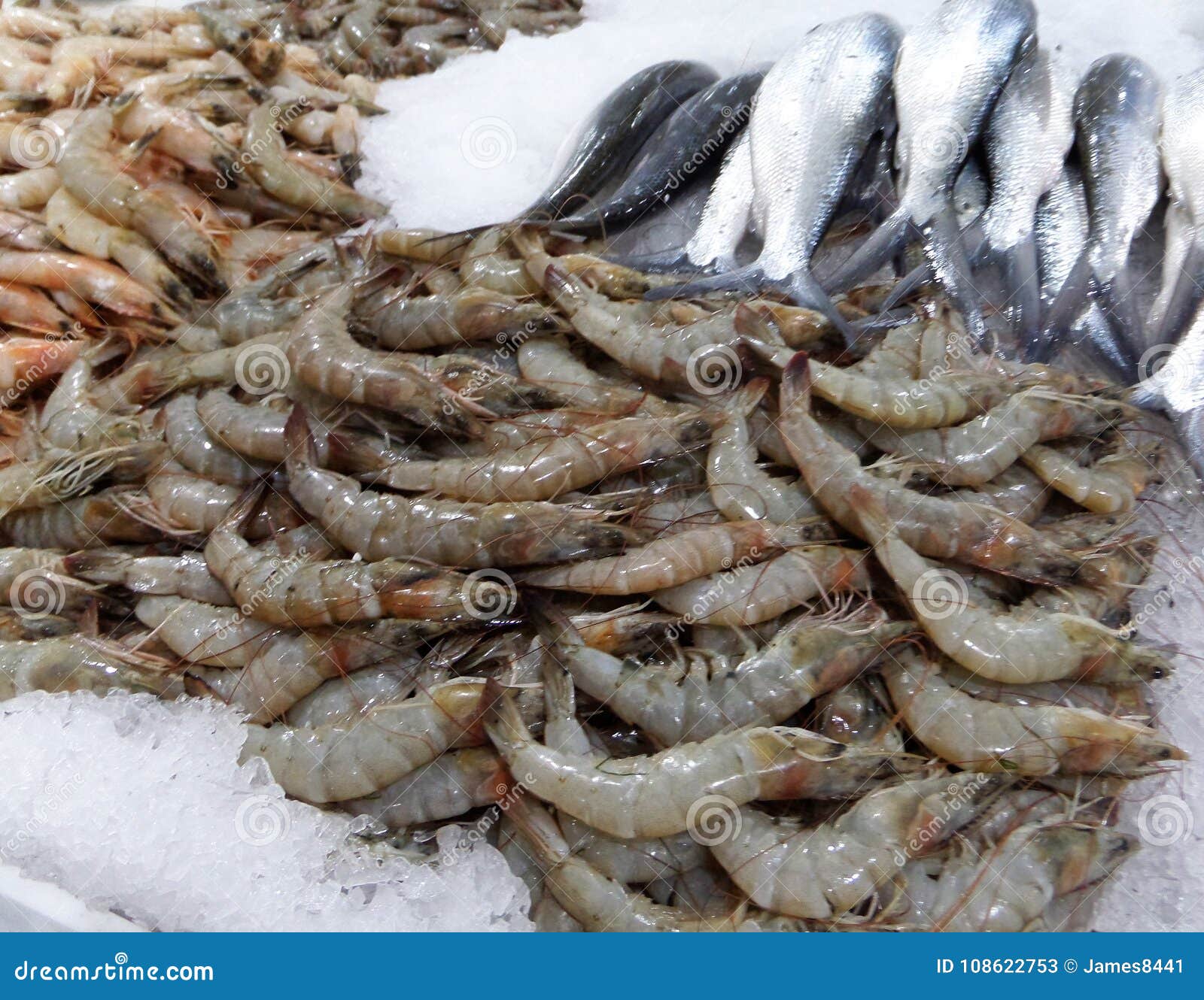 Seafood market in Dubai. stock image. Image of fresh 108622753