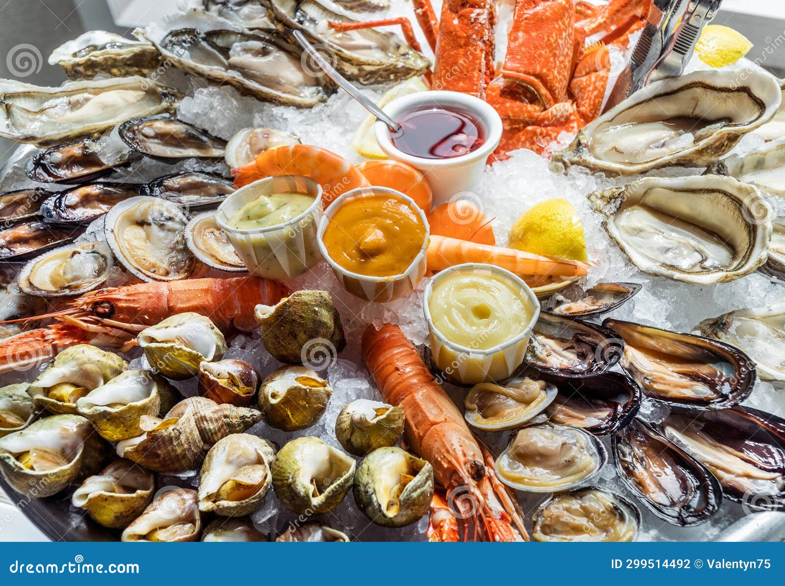 Seafood Plate. Delicacy Food Stock Photo Image of marine, object