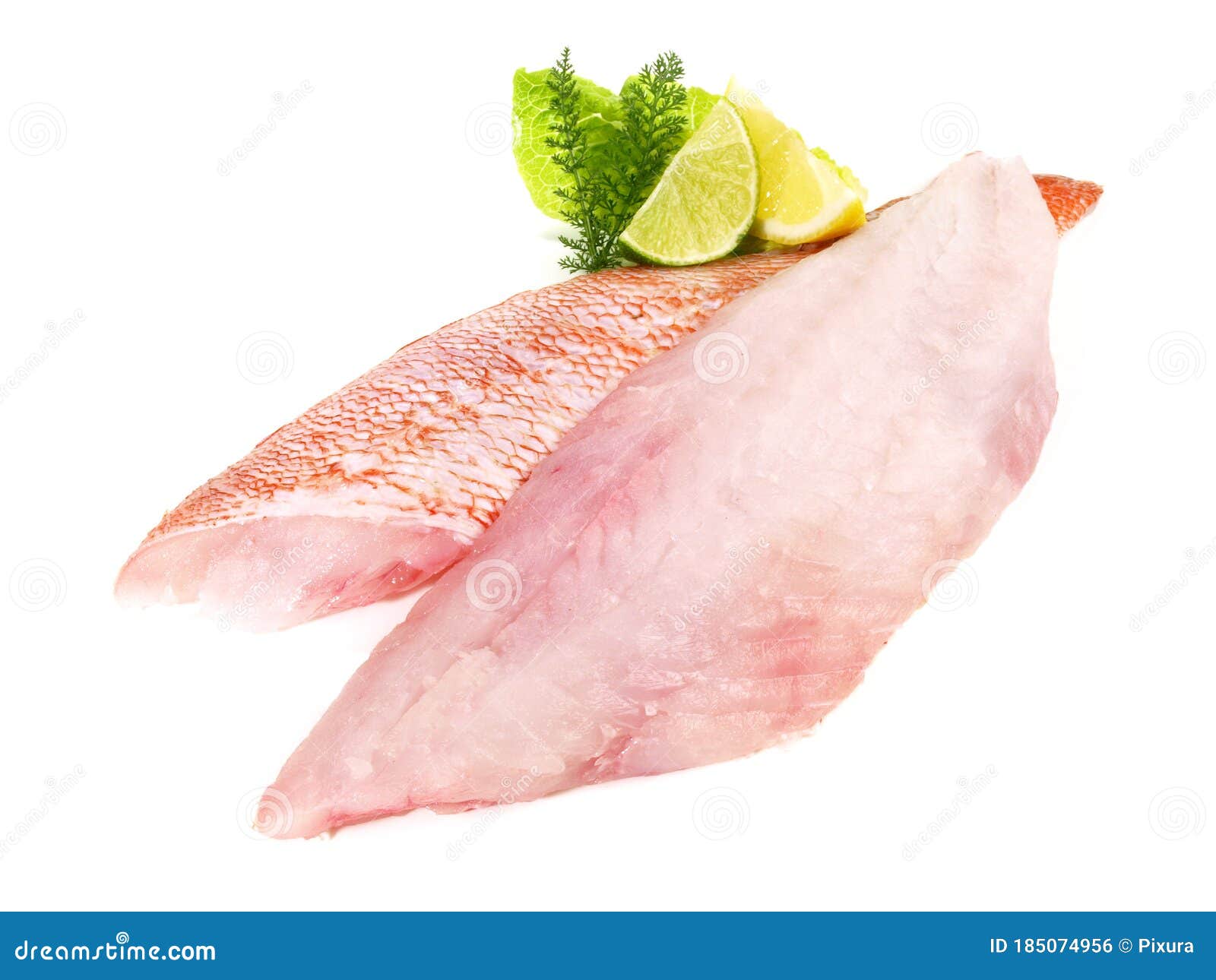 seafood - red perch fillet  on white background