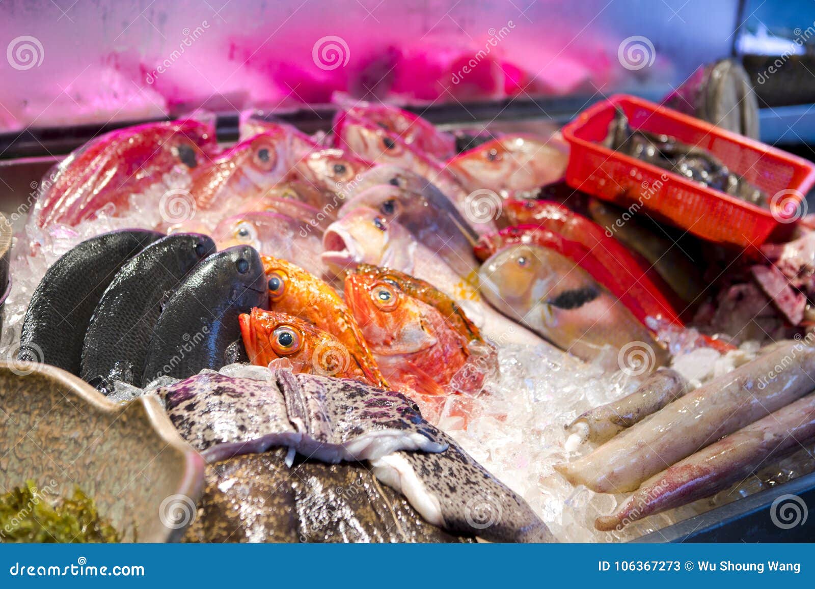 Seafood Restaurants, Fresh Seafood, a Variety of Fish Shellfish, Taiwan`s  Seafood Shop, Stock Image - Image of fish, freezer: 106367273