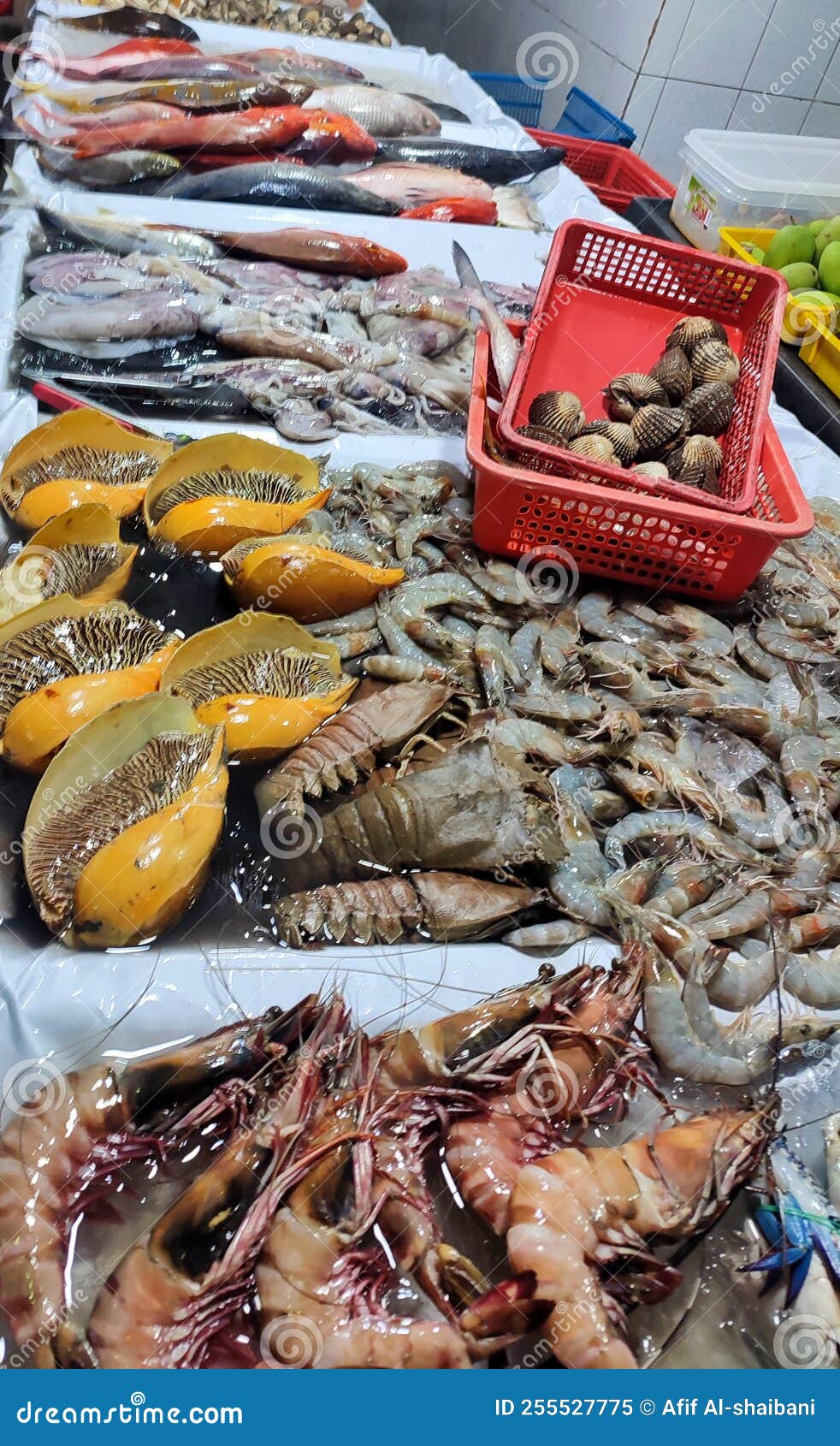 Seafood for Sale in the Fish Market Stock Image Image of wildlife