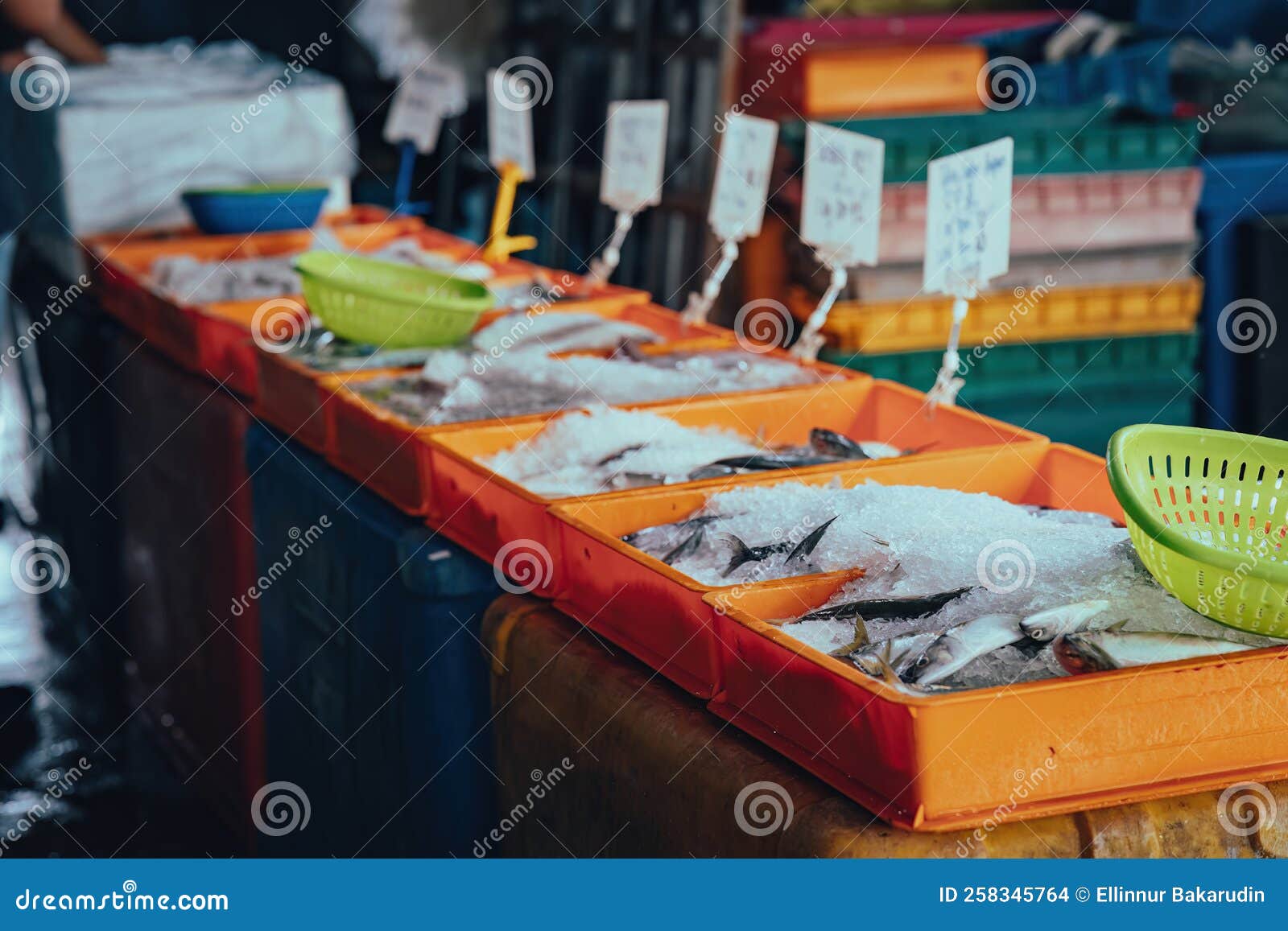 Seafood for Sale at the Fish Market Stock Photo Image of cooking