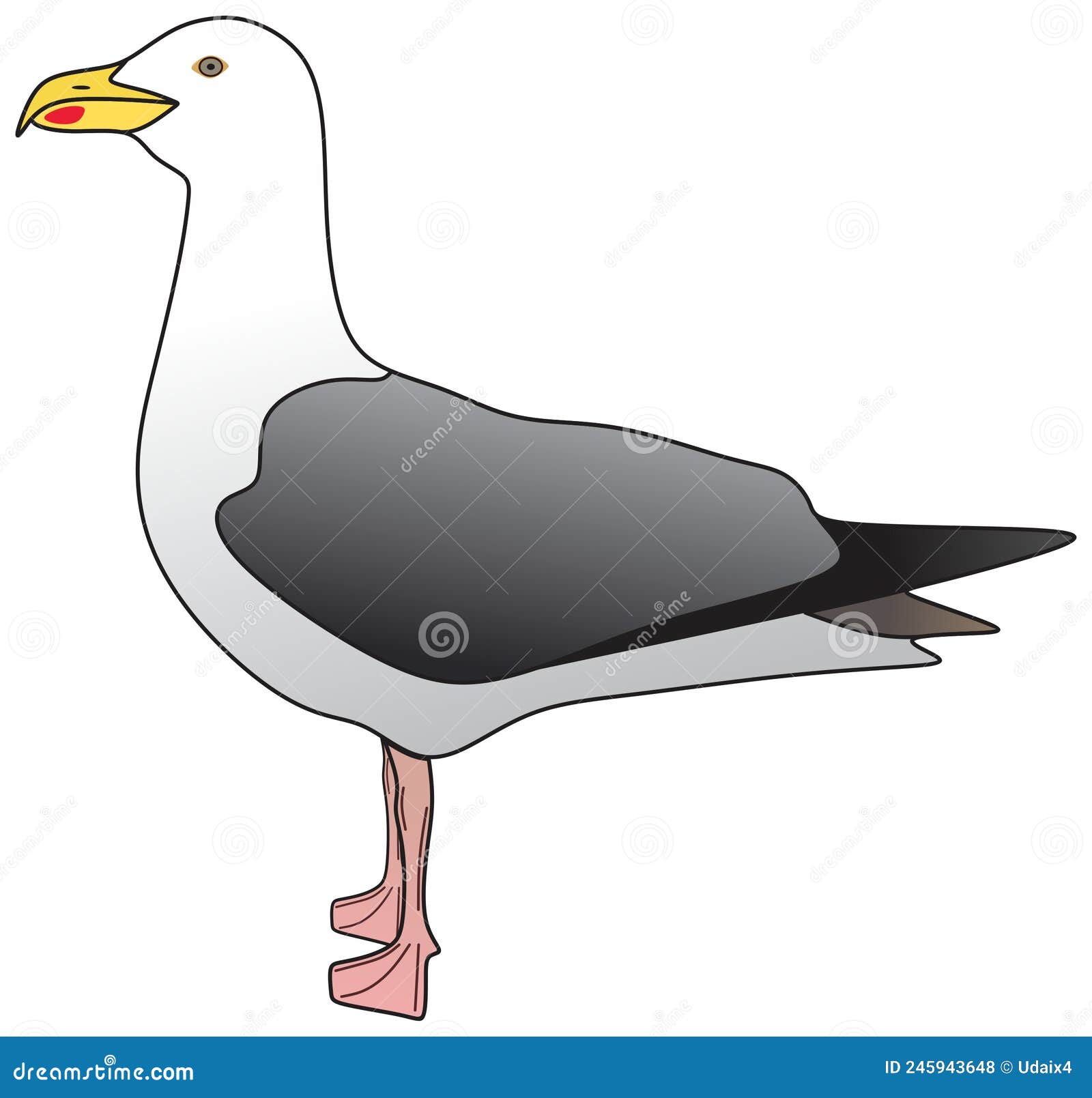 Seagull Animal Bird Vector Drawing Standing Side View Stock Vector -  Illustration of flat, pattern: 245943648