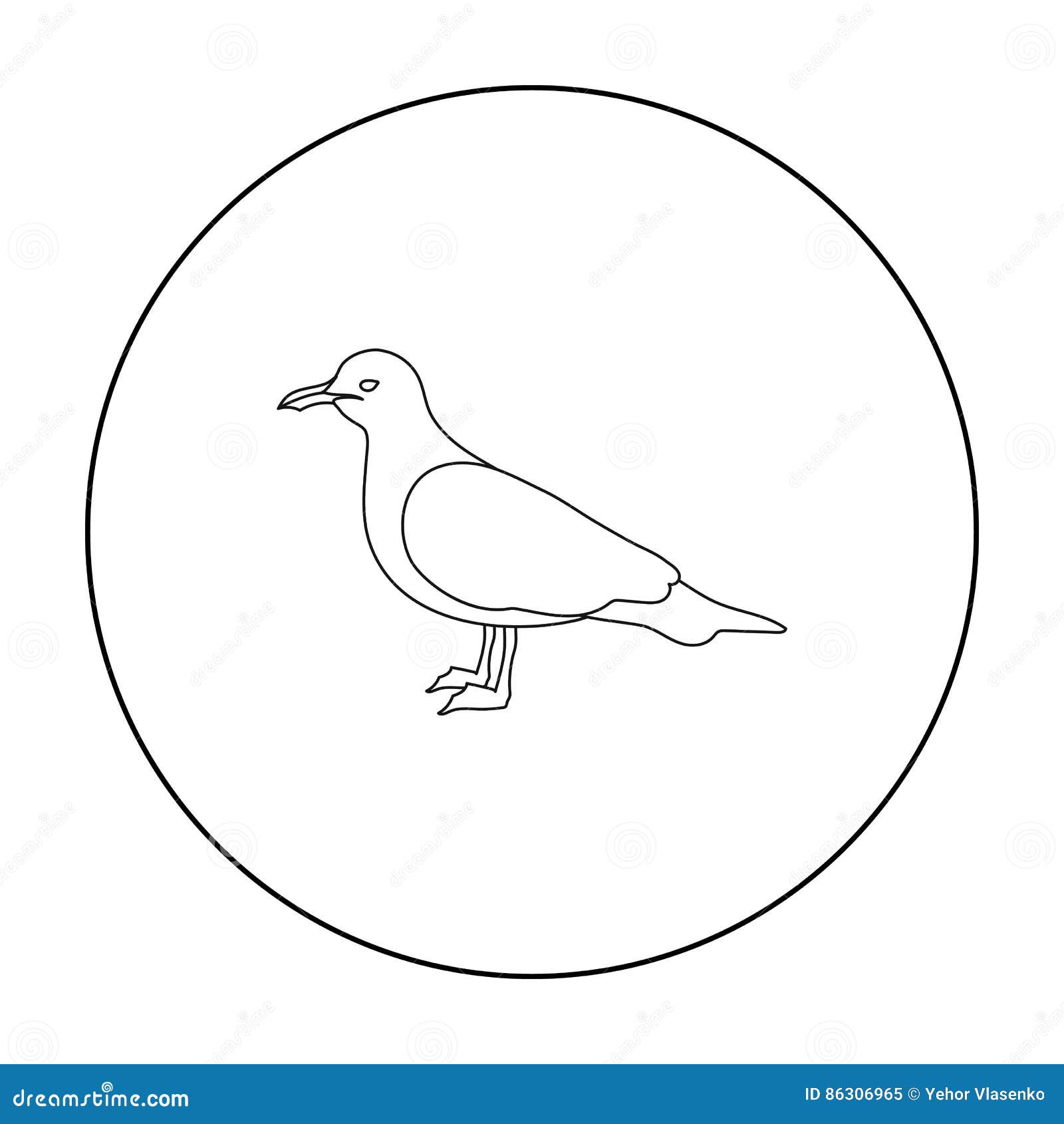 seagull icon in outline style  on white background. bird  stock  .