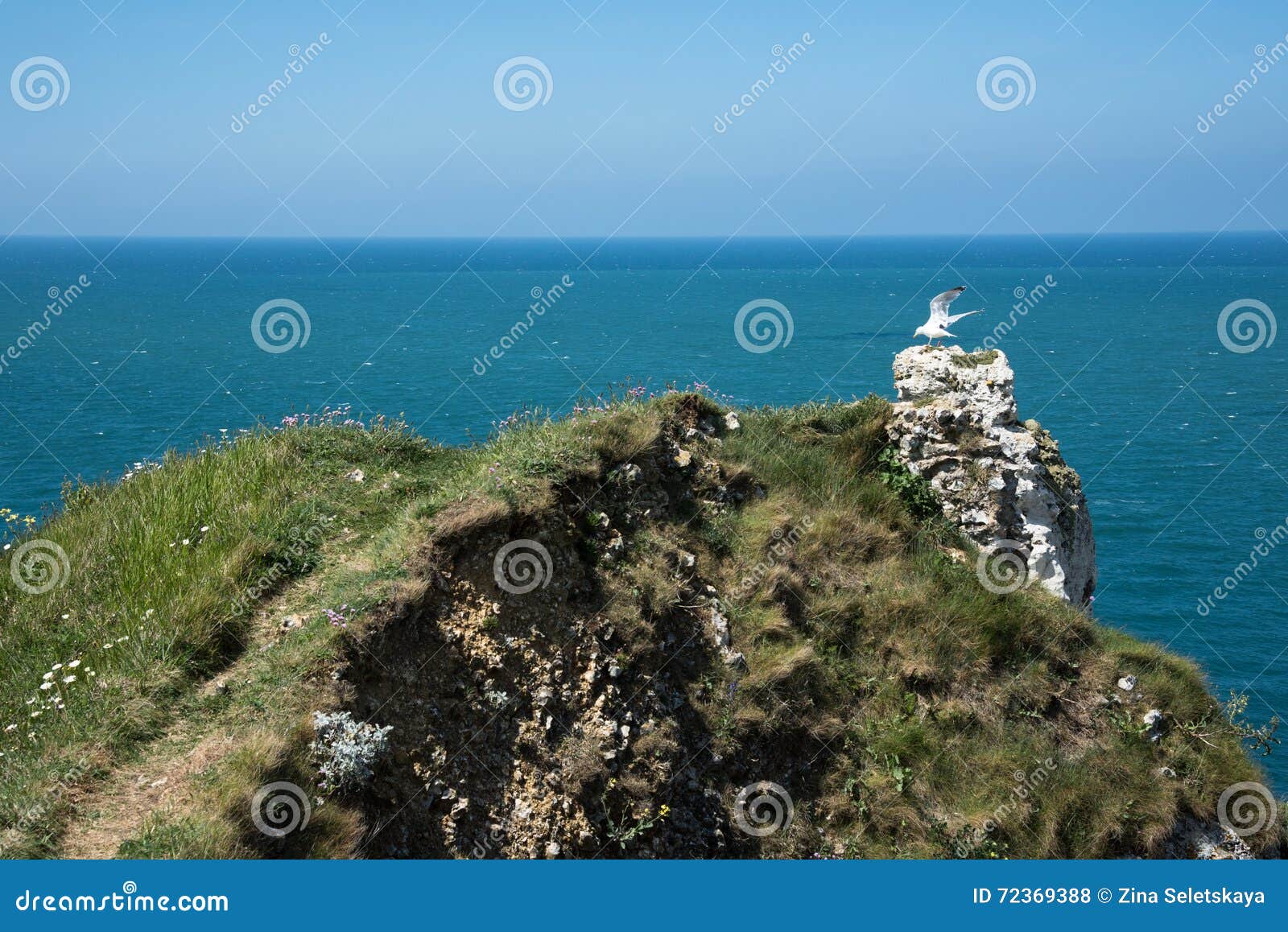 Seagull που πετά από τον απότομο βράχο. Seagull πέταγμα του τεχνάσματος με αγωνιώδη αναμονή πέρα από τον ωκεανό