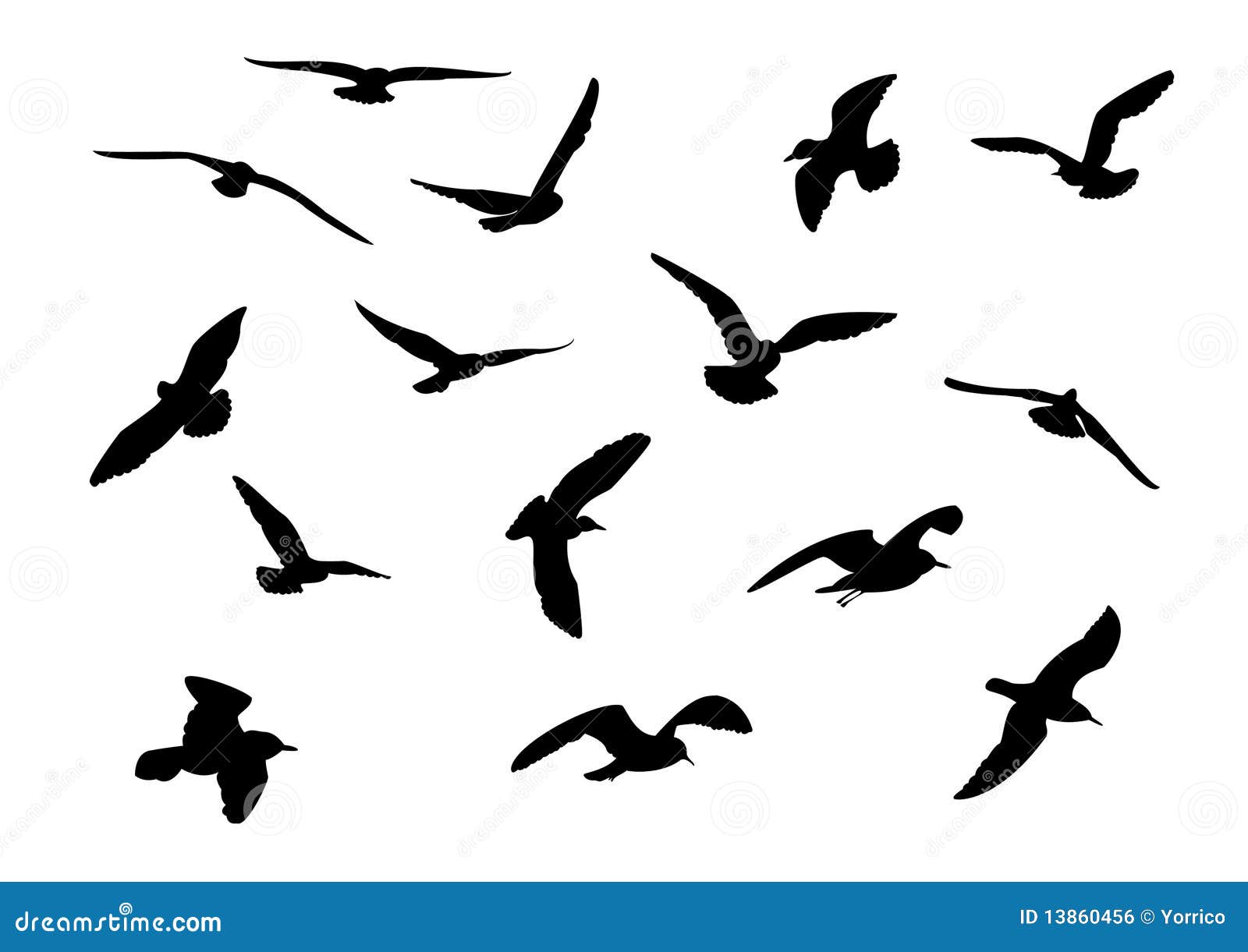 Seagulls stock vector. Illustration of seagull, symbols - 13860456
