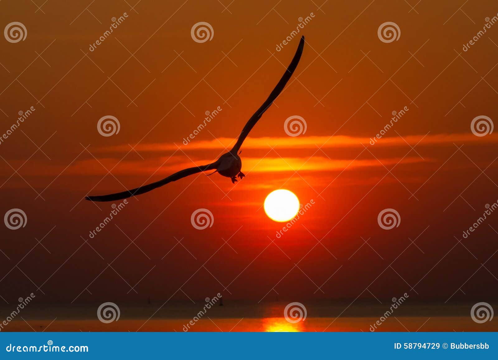 Seagulls flying at sunset stock image. Image of yellow 58794729