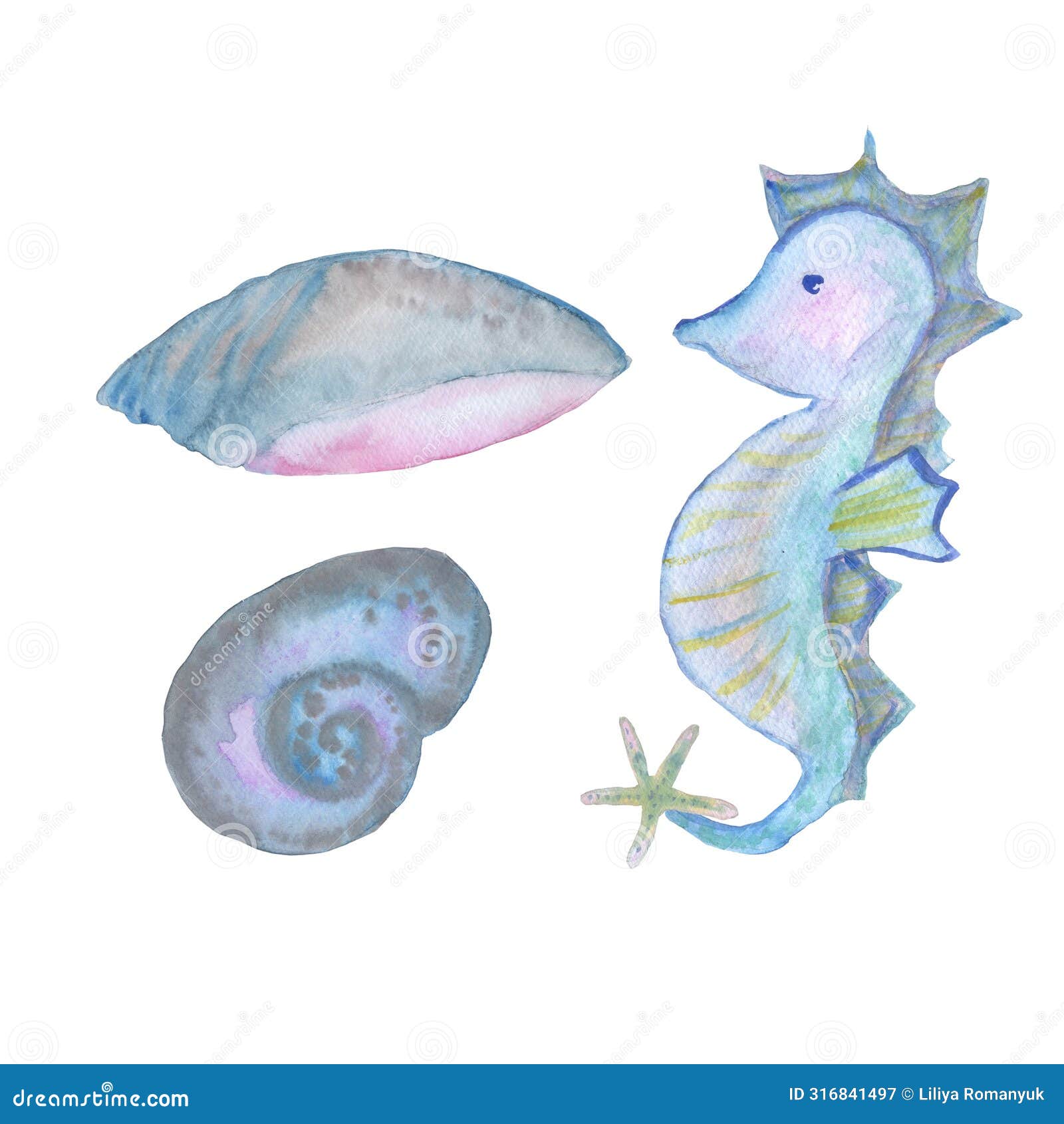seahorse and seashells ocean set watercolor   on white background base for  textile tableware