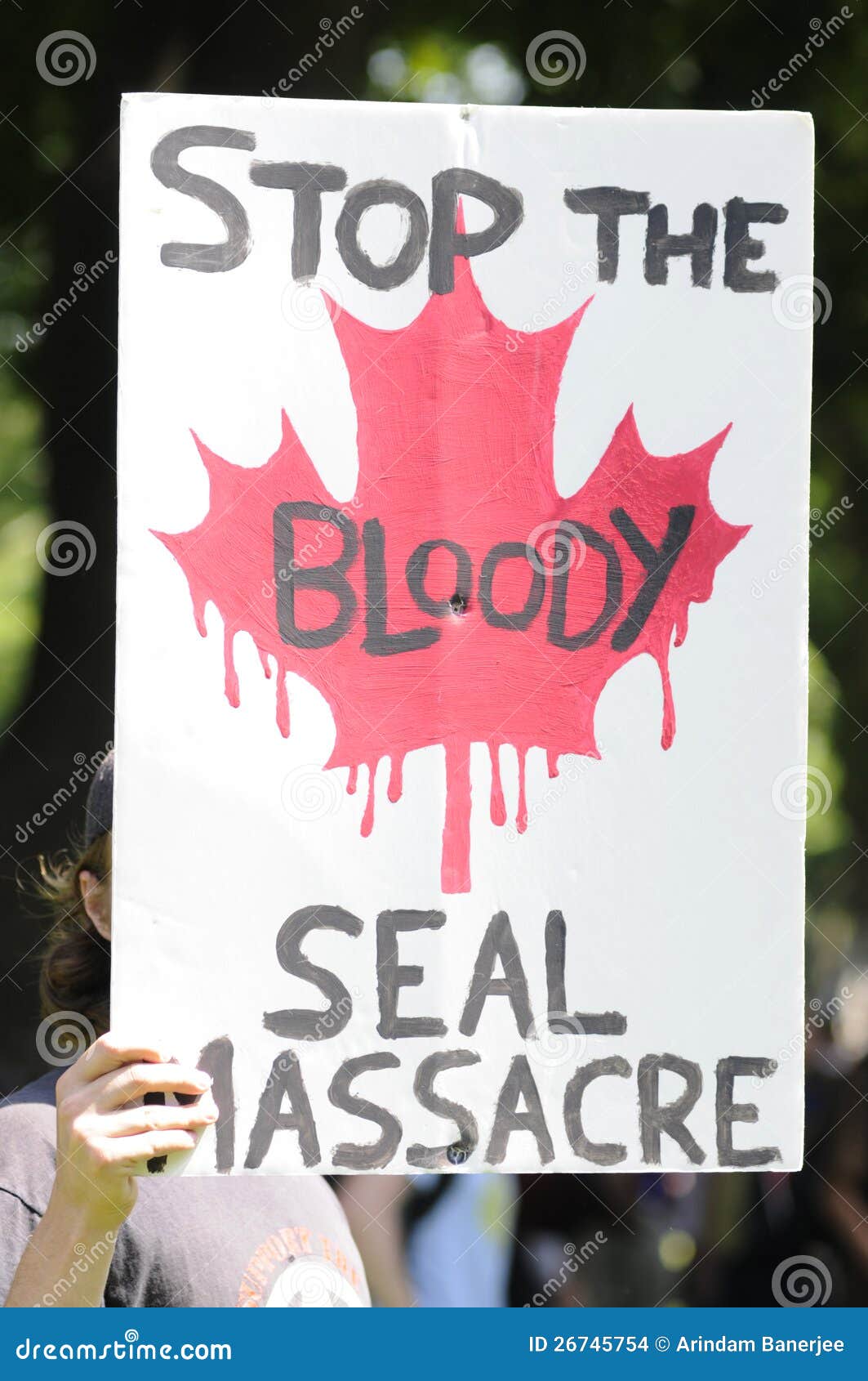 Seal activist. TORONTO-JUNE 25: An animal activist with a sign- protesting against the decision of the Canadian Government to allow people to hunt seals during the G20 Protest on June 25, 2010 in Toronto, Canada.