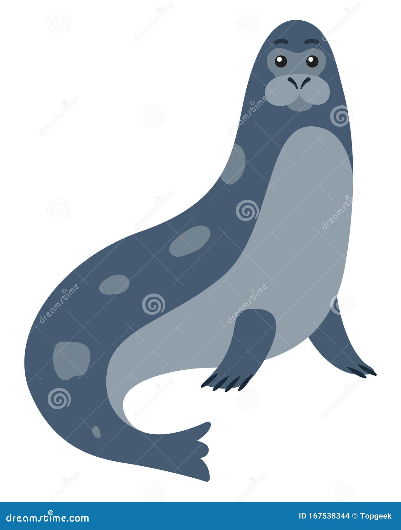 Seal Arctic Animal with Long Fore-flippers Vector Stock Vector -  Illustration of blue, arctic: 167538344