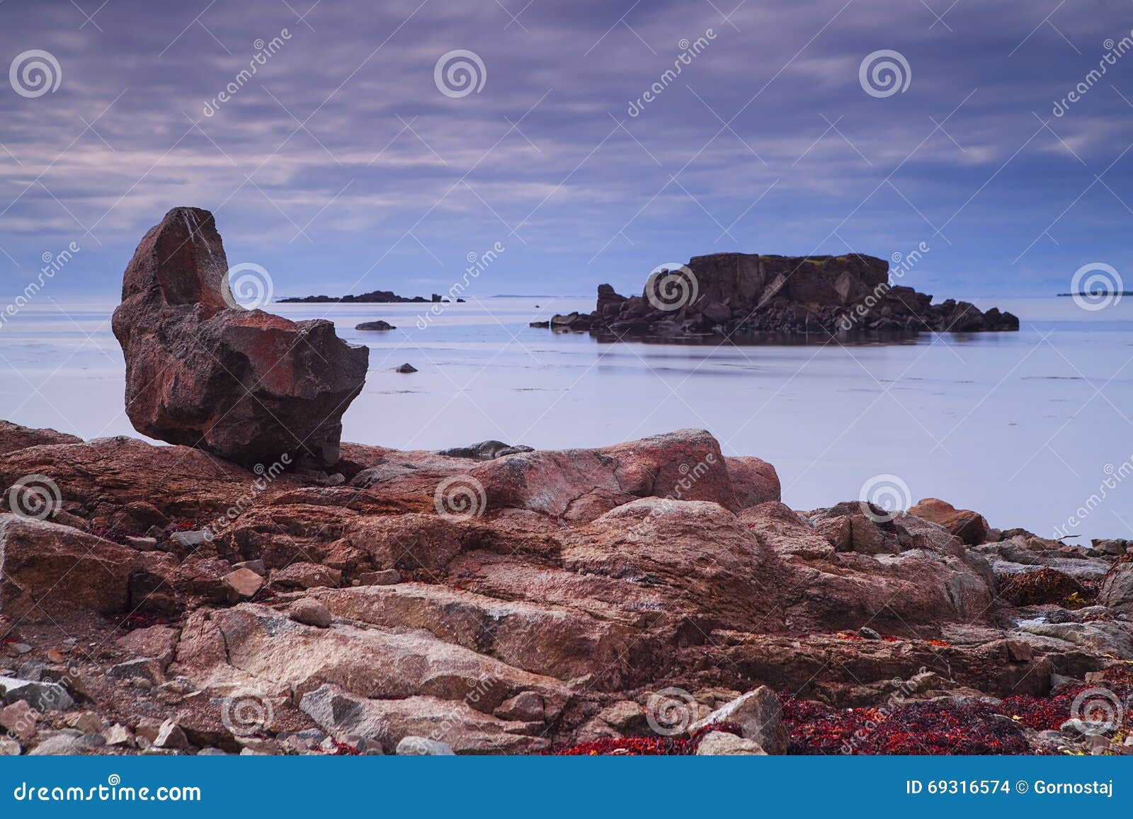 seal bay, of westfjords, iceland