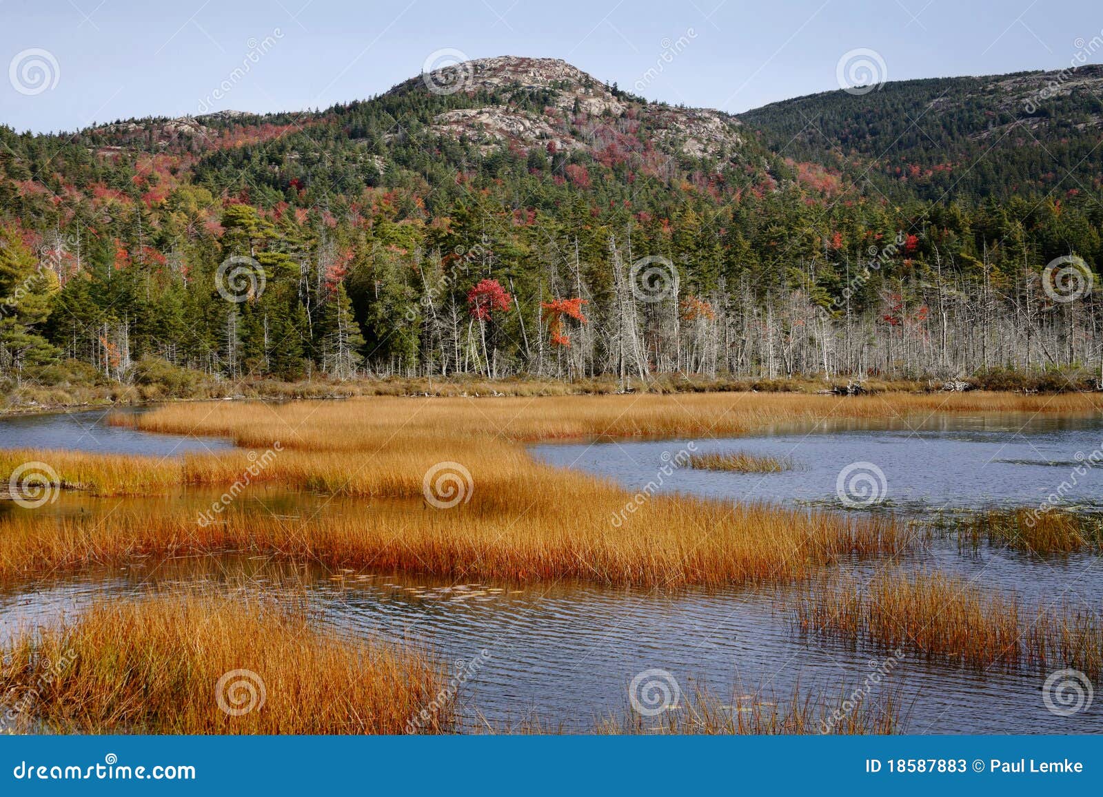 Seal Cove Pond stock image. Image of peaceful, fall, beauty 18587883