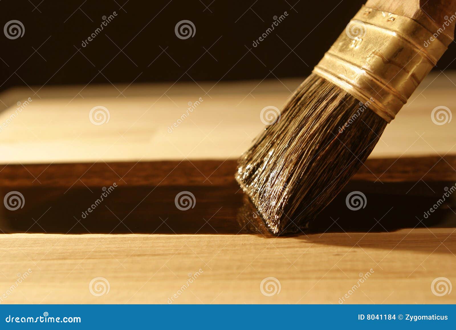 Sealing wood with brush stock photo. Image of polish, creativity 8041184