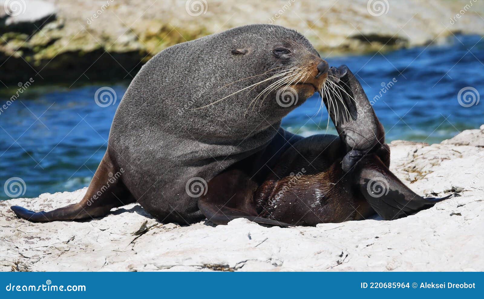 On The Seashore - Traduction Française
