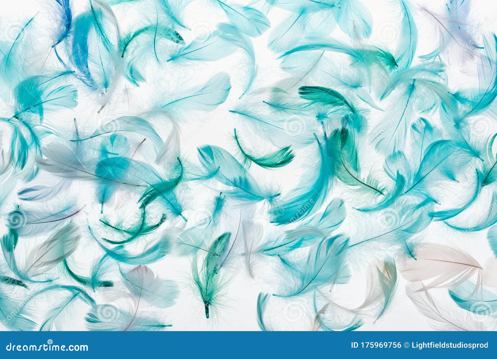 Seamless Background with Green, Grey and Turquoise Feathers Isolated on ...