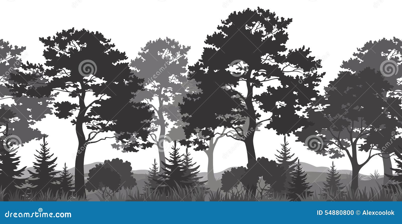 seamless background summer forest silhouettes horizontal pine fir tree grass bush black gray white vector 54880800