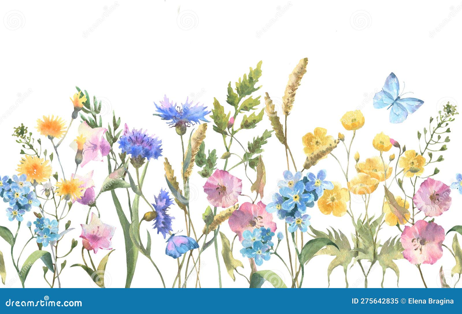 Seamless Border with Herbs and Wild Flowers, Leaves, Butterflies ...