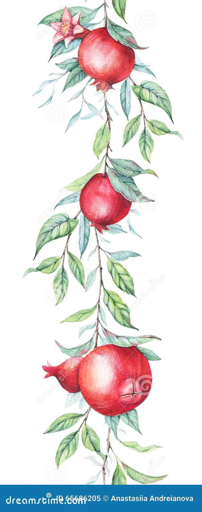 Seamless Border Pattern With Watercolor Pomegranates ...