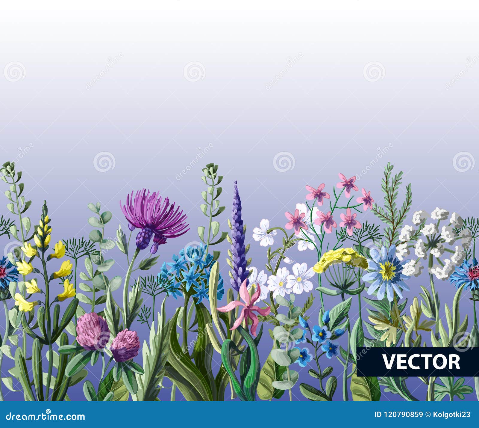 Seamless Border of Wild Flowers. Vector Illustration. Stock Vector
