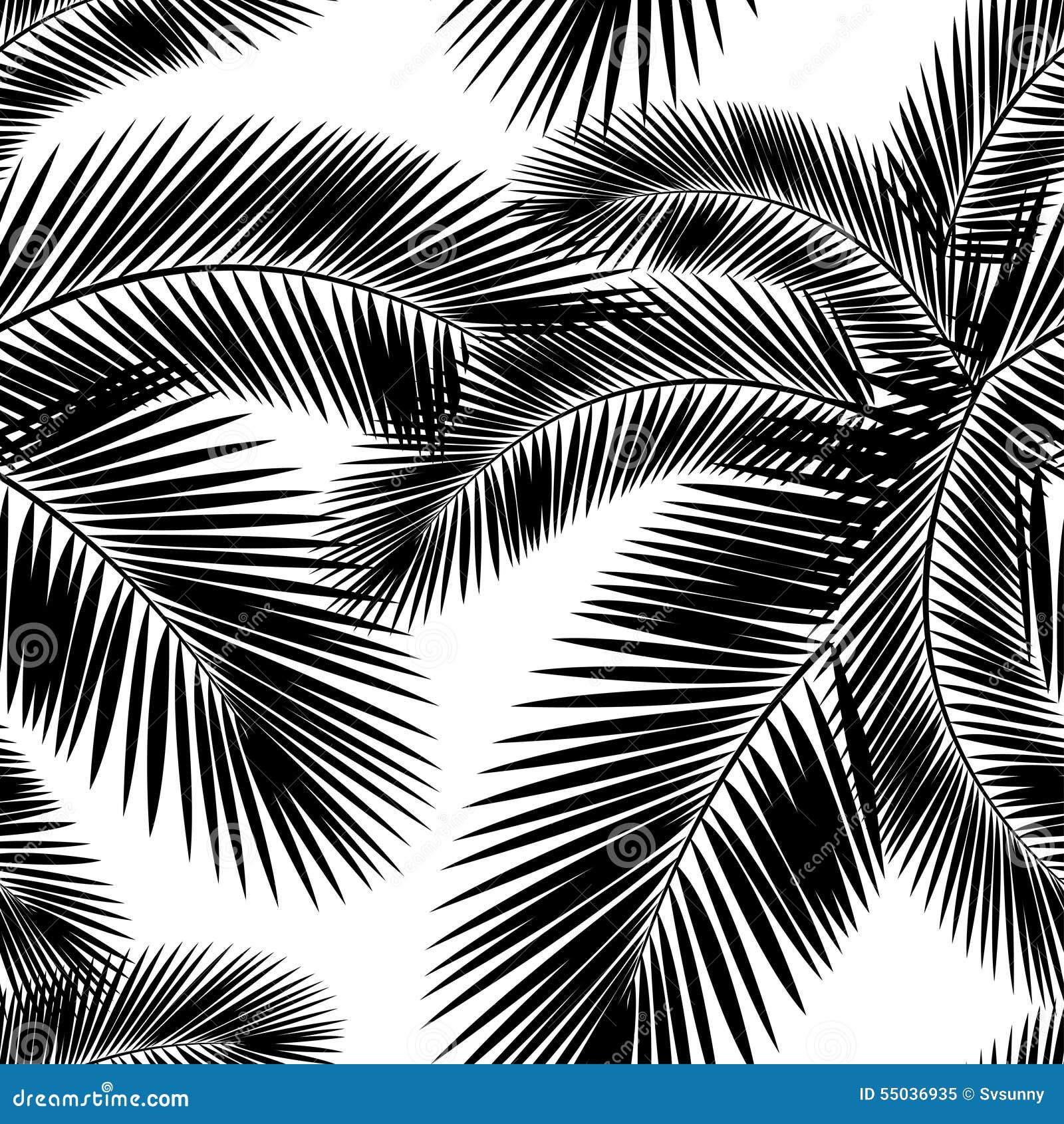 Palm Leaves Background Black And White