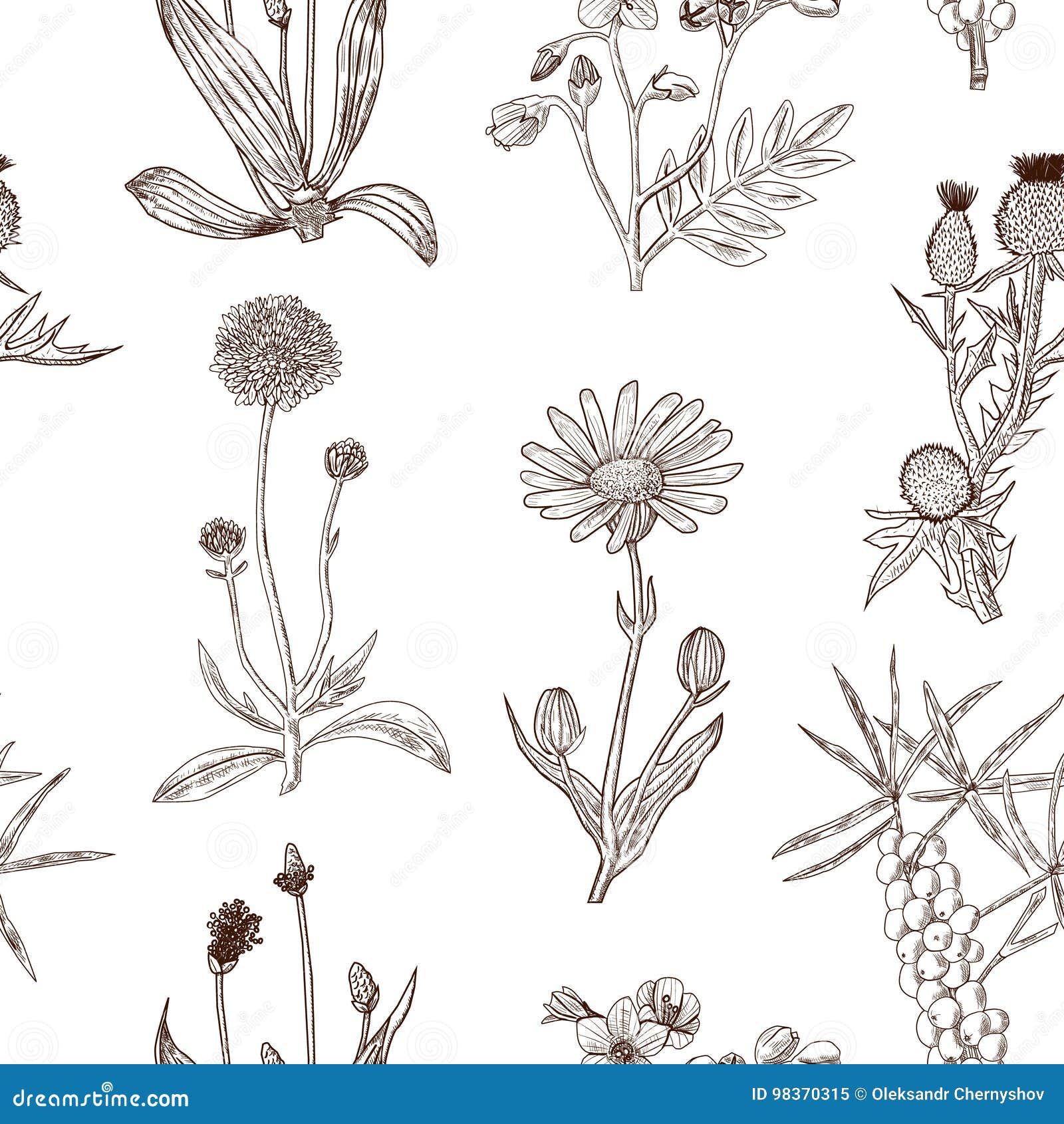 Seamless Decorative Pattern with Herbs. Stock Illustration ...