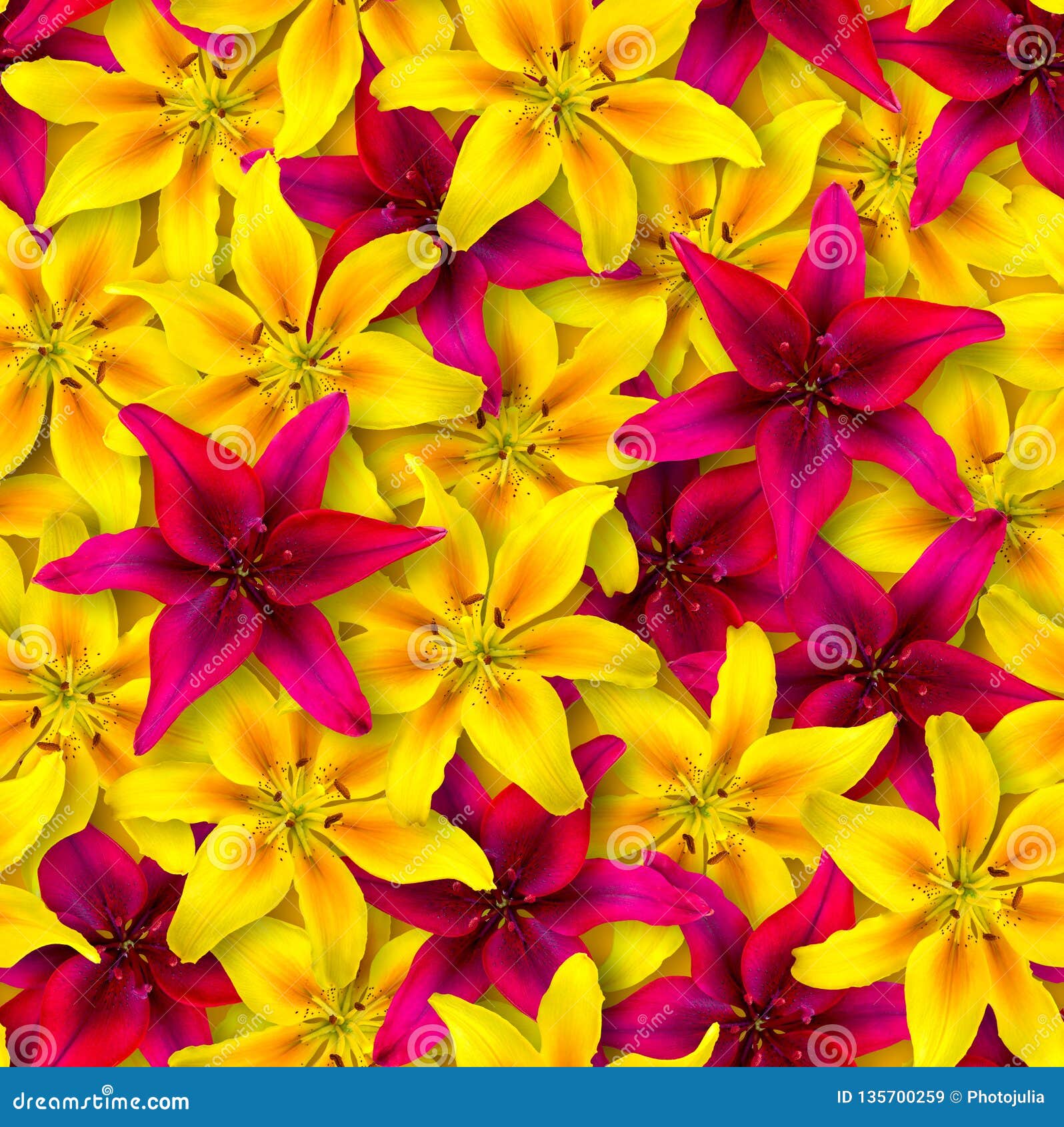 Various Red Flowers On Yellow Background Stock Photo Image Of Beautiful Concept 118617950