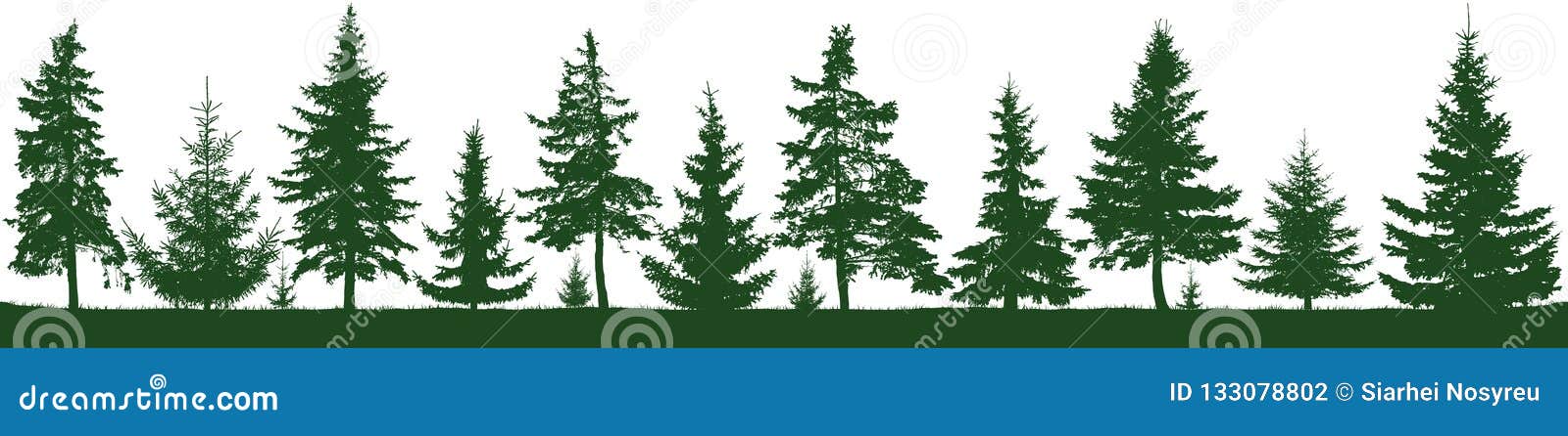 seamless forest fir trees silhouette. parkland, park, garden.