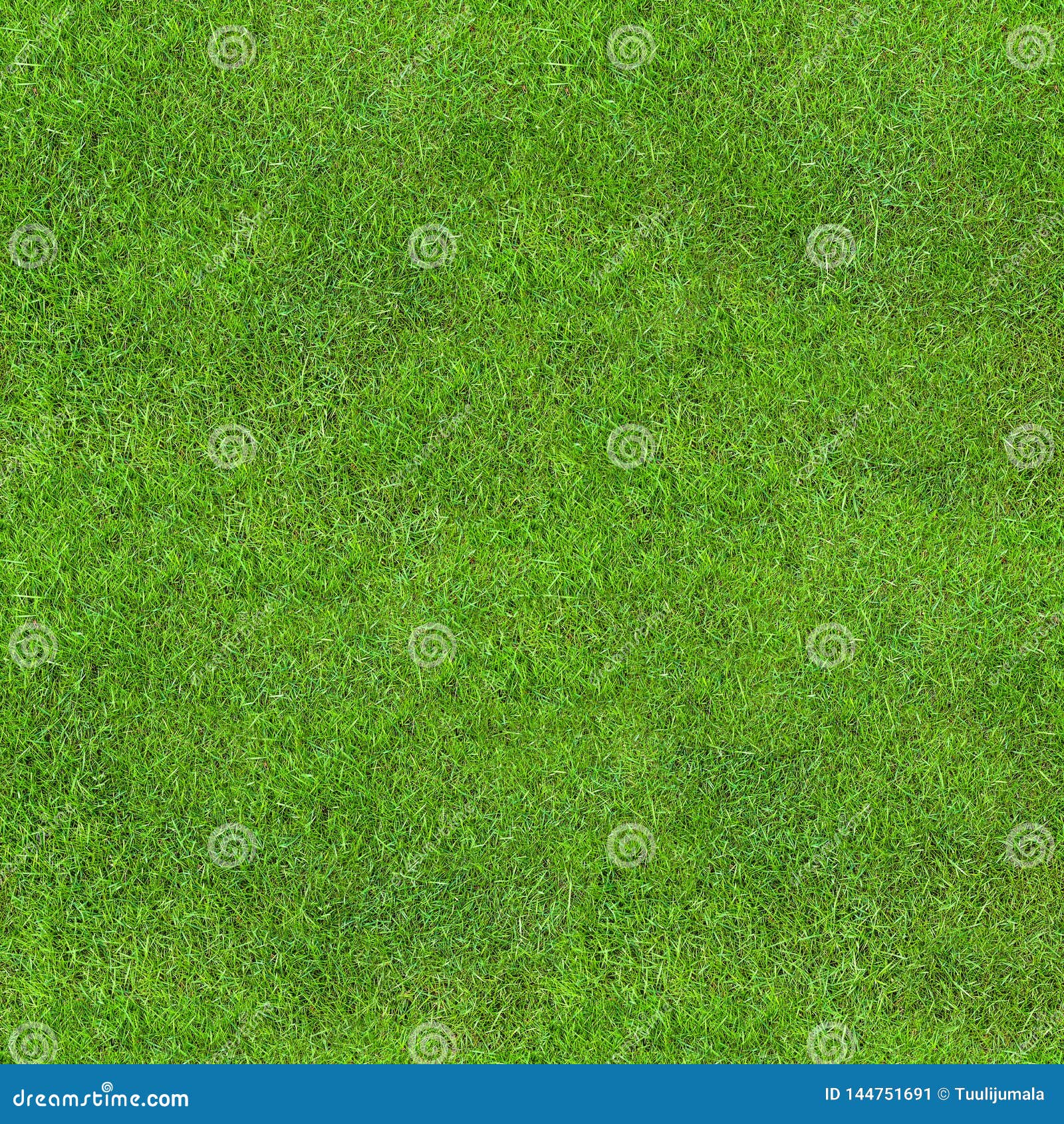 Seamless Green Lush Grass Texture Stock Image Image Of Football Lush 