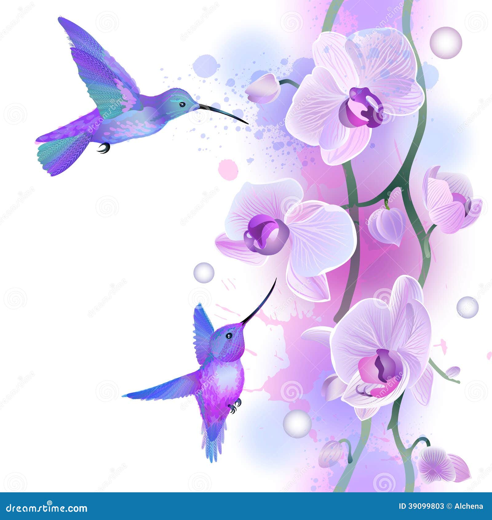 Hummingbird With Purple Orchid 