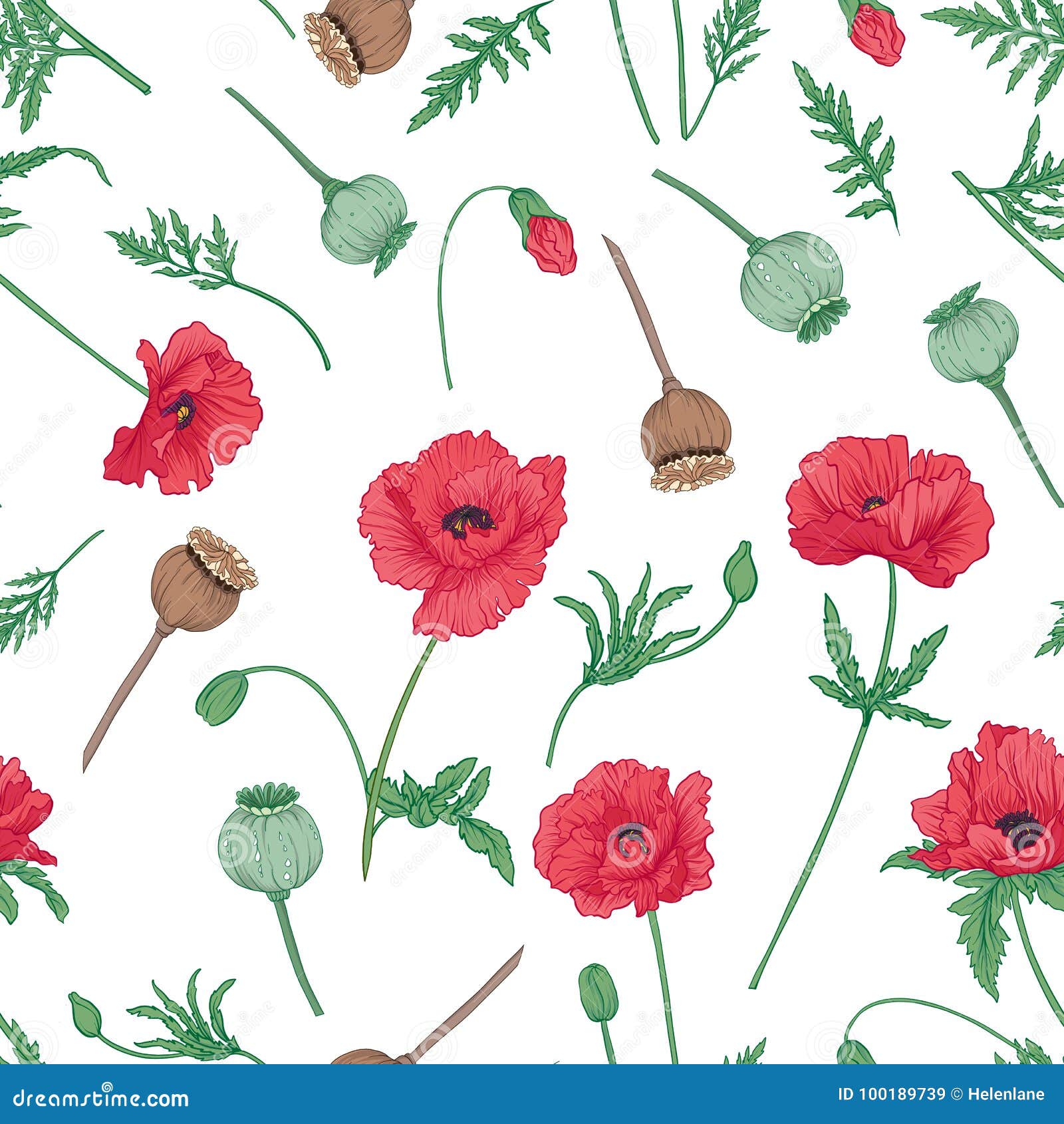 Seamless Pattern, Background with Red Opium Poppy. Stock Vector Stock ...