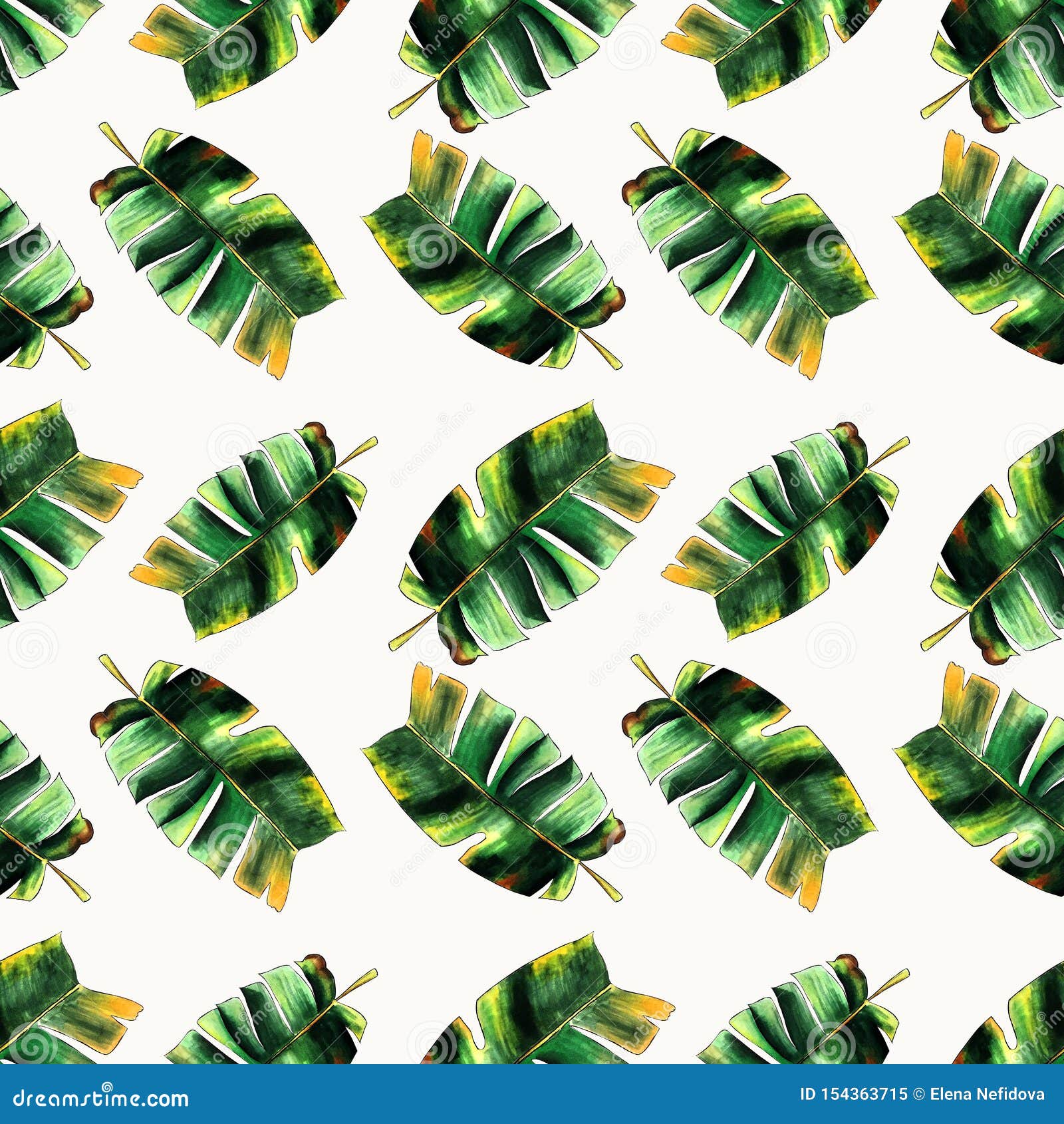 Seamless Pattern with Banana Leaves on White Background Hand Draw