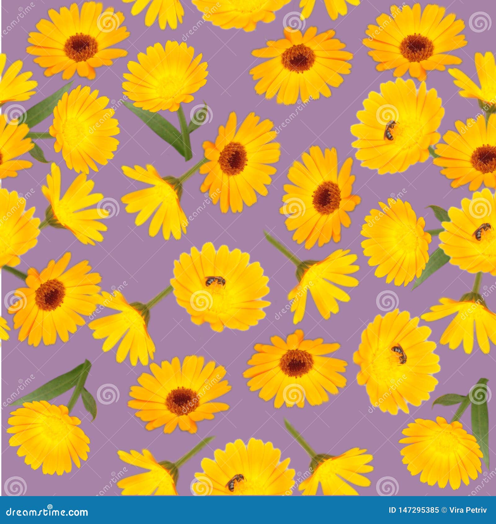 Seamless Pattern of Beautiful Yellow Daisies Stock Image Image of