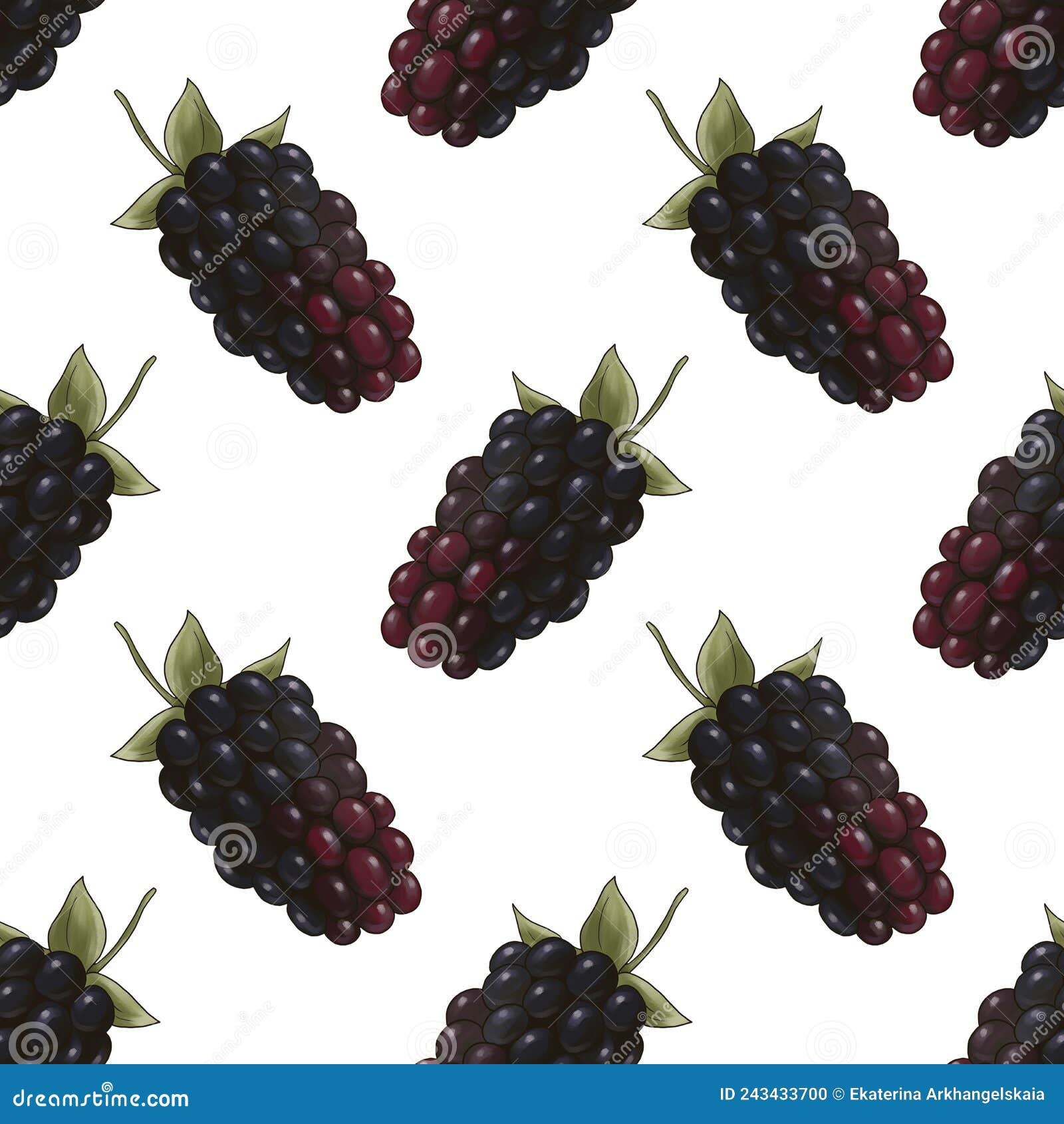 Seamless Pattern with Boysenberry Stock Illustration Illustration of